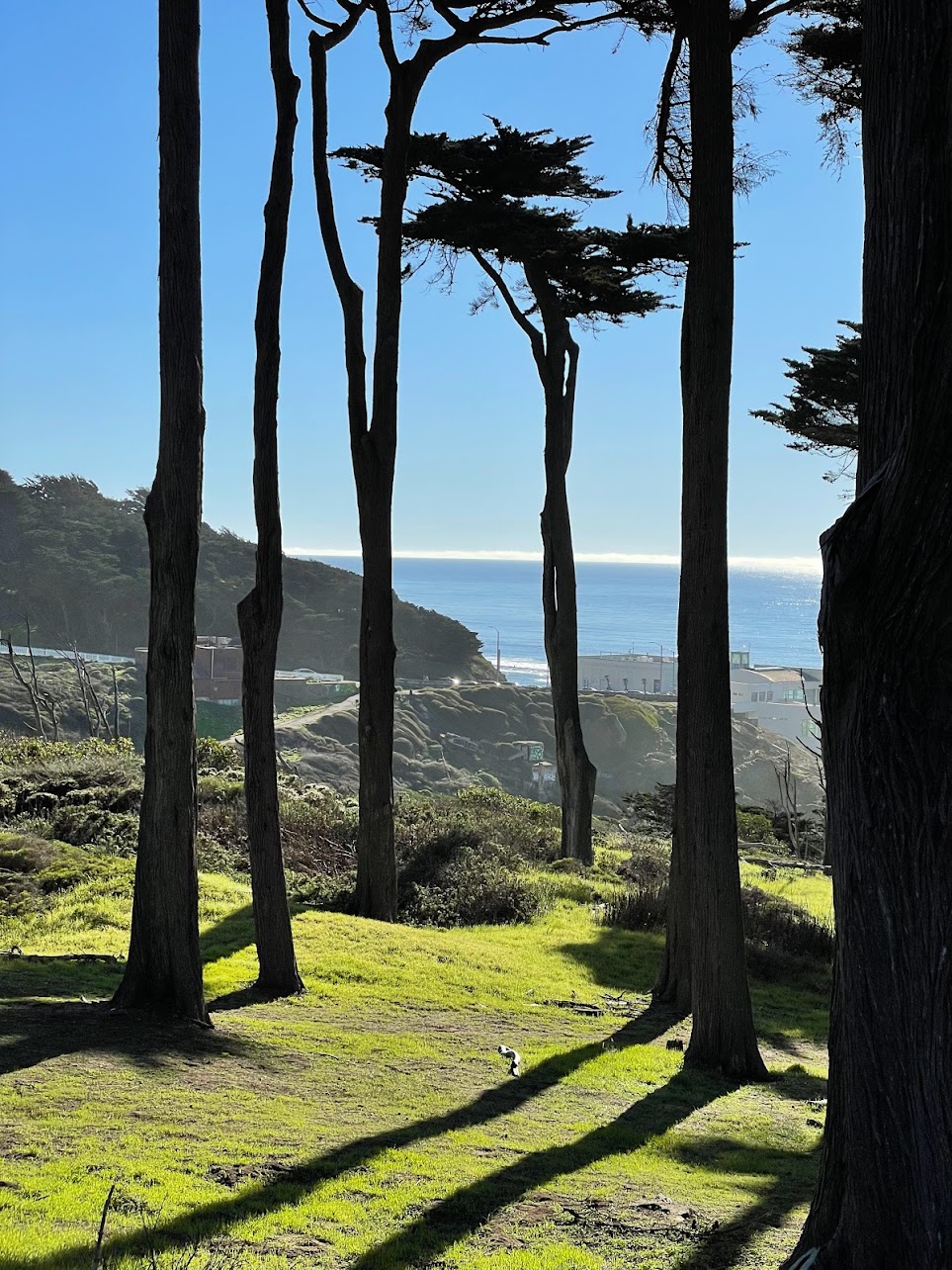 Lands End Lookout