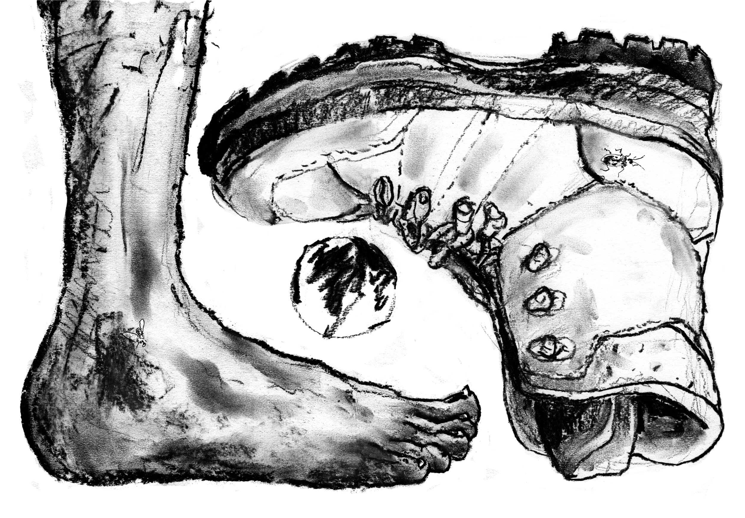 Reistekeningen: Te voet naar Rome