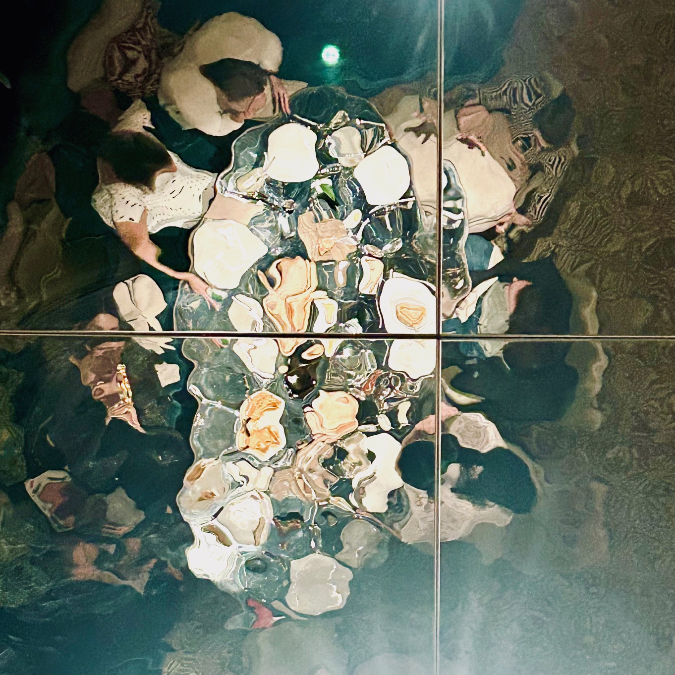 dinner reflection, 2026