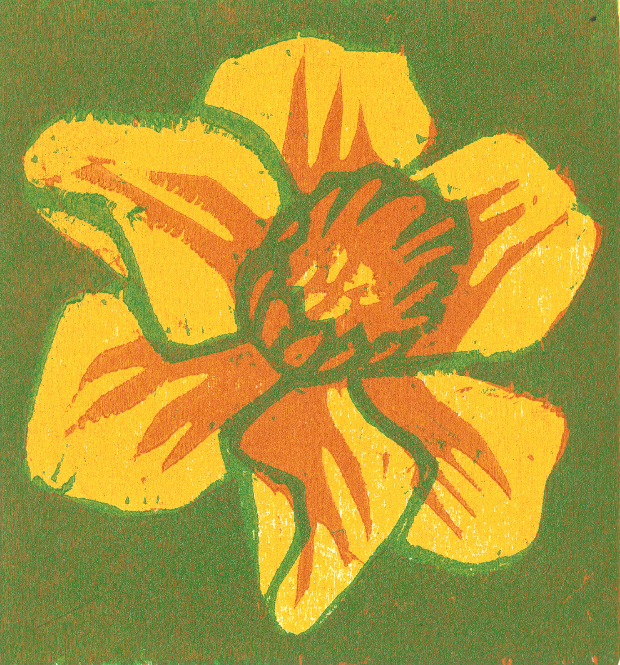 Daffodil / three-layer woodcut