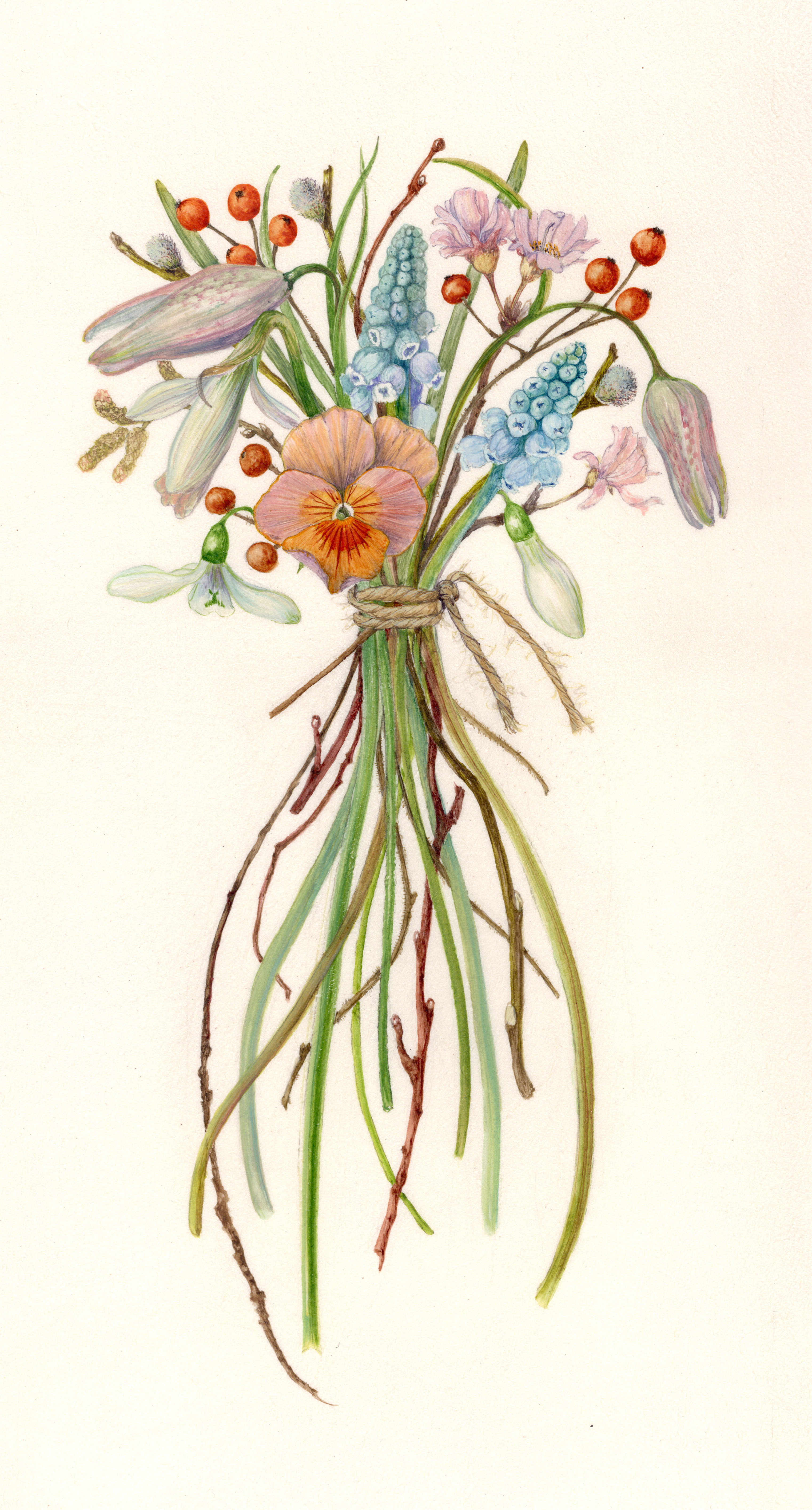 Tussie mussie - pale apricot pansy