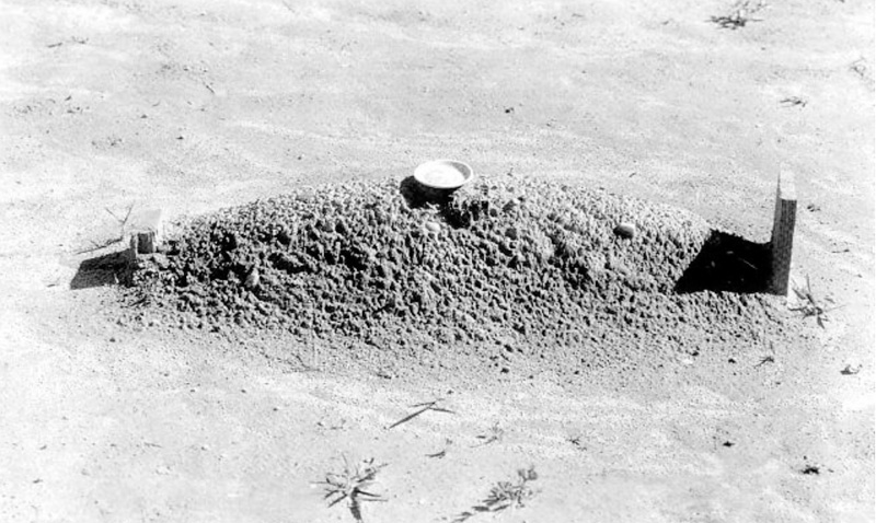 A Childs Grave | Walker Evans
