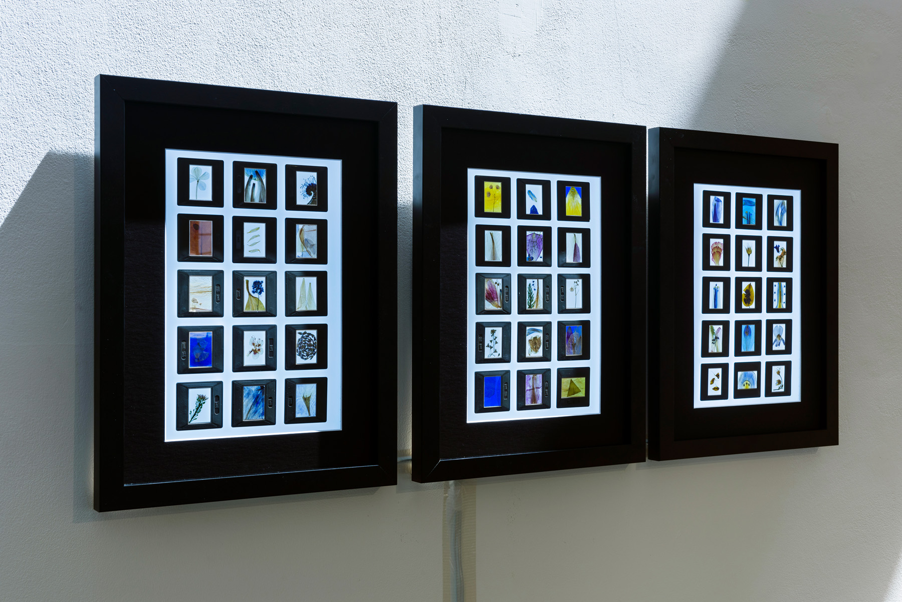 Slides - An Emotional Archive, 2021, Final Not Over, Again, Unit 1 Gallery, May 2021, Image Courtesy Unit 1 Gallery | Workshop