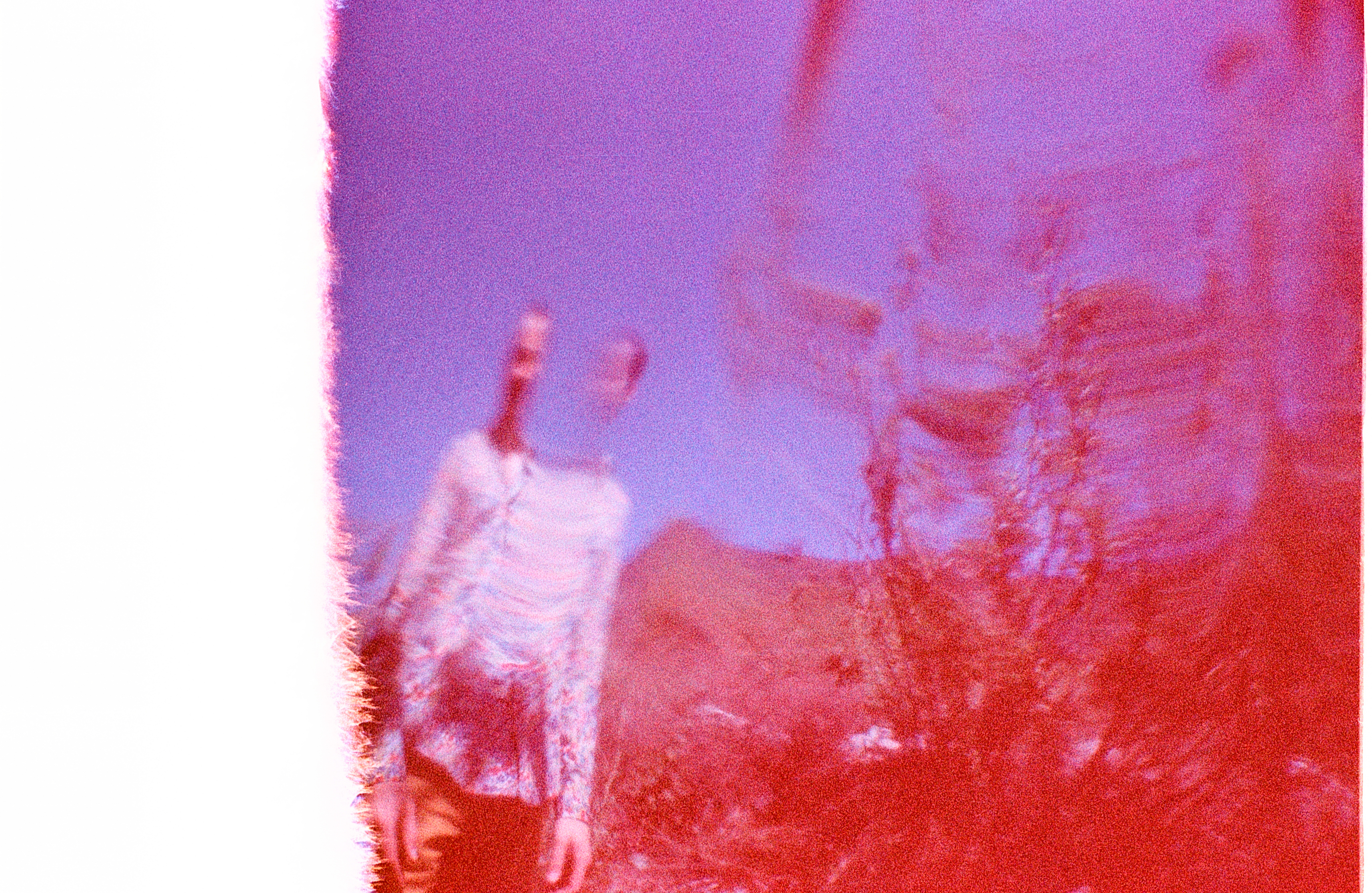 Pet shop fish takes photo (in progress), Altadena, CA 2024