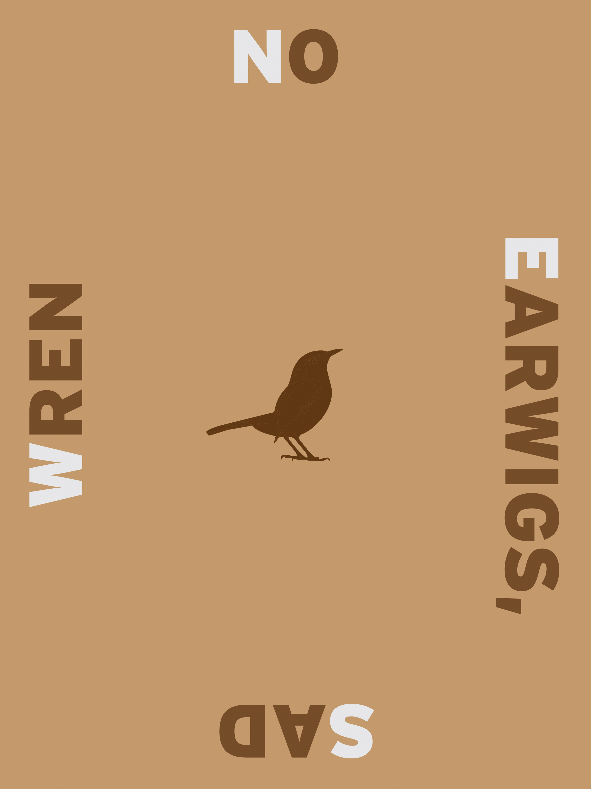 No Earwigs, Sad Wren (mural proposal)2025