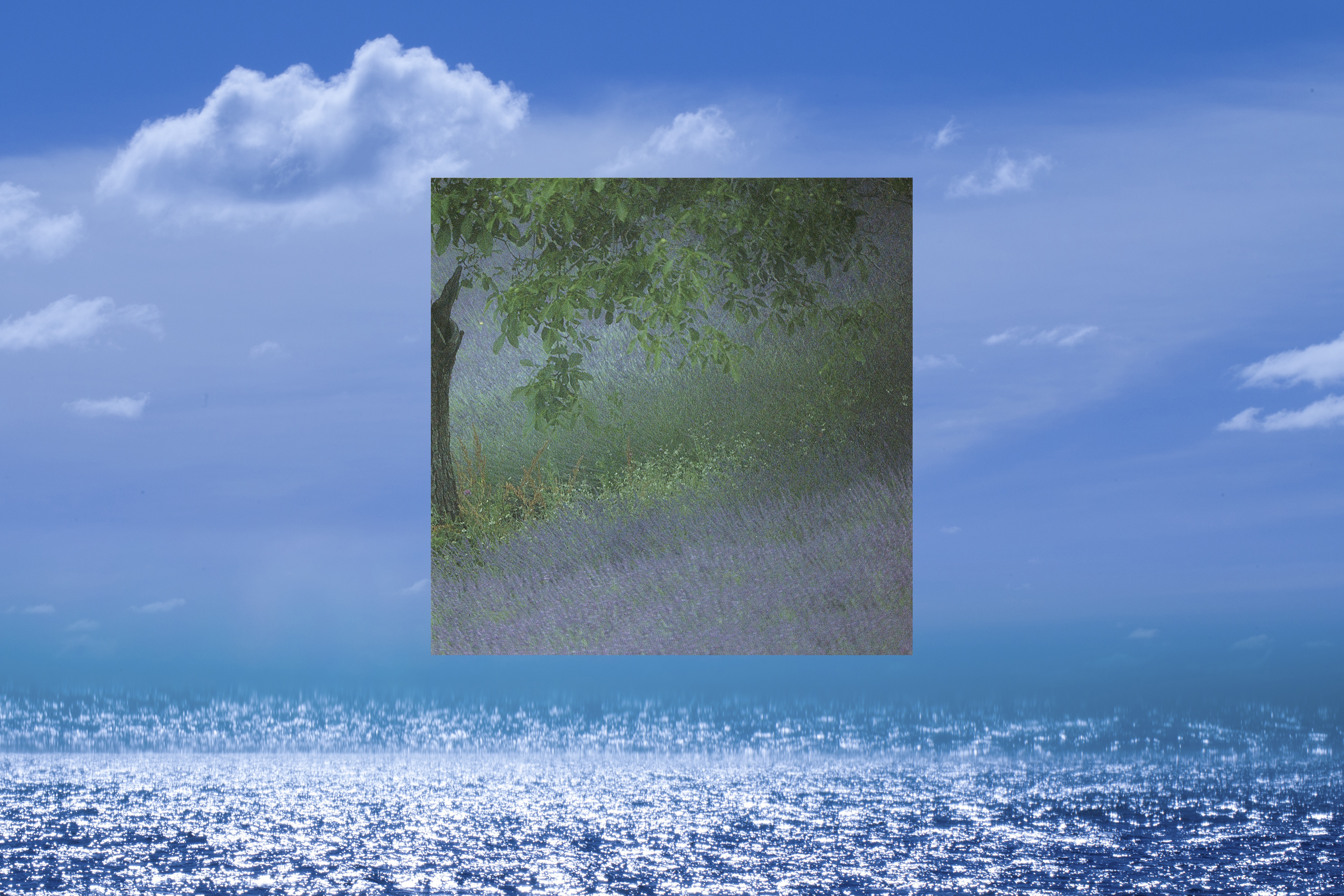 Meadow, 2023, giclée print, 75 x 50 cm