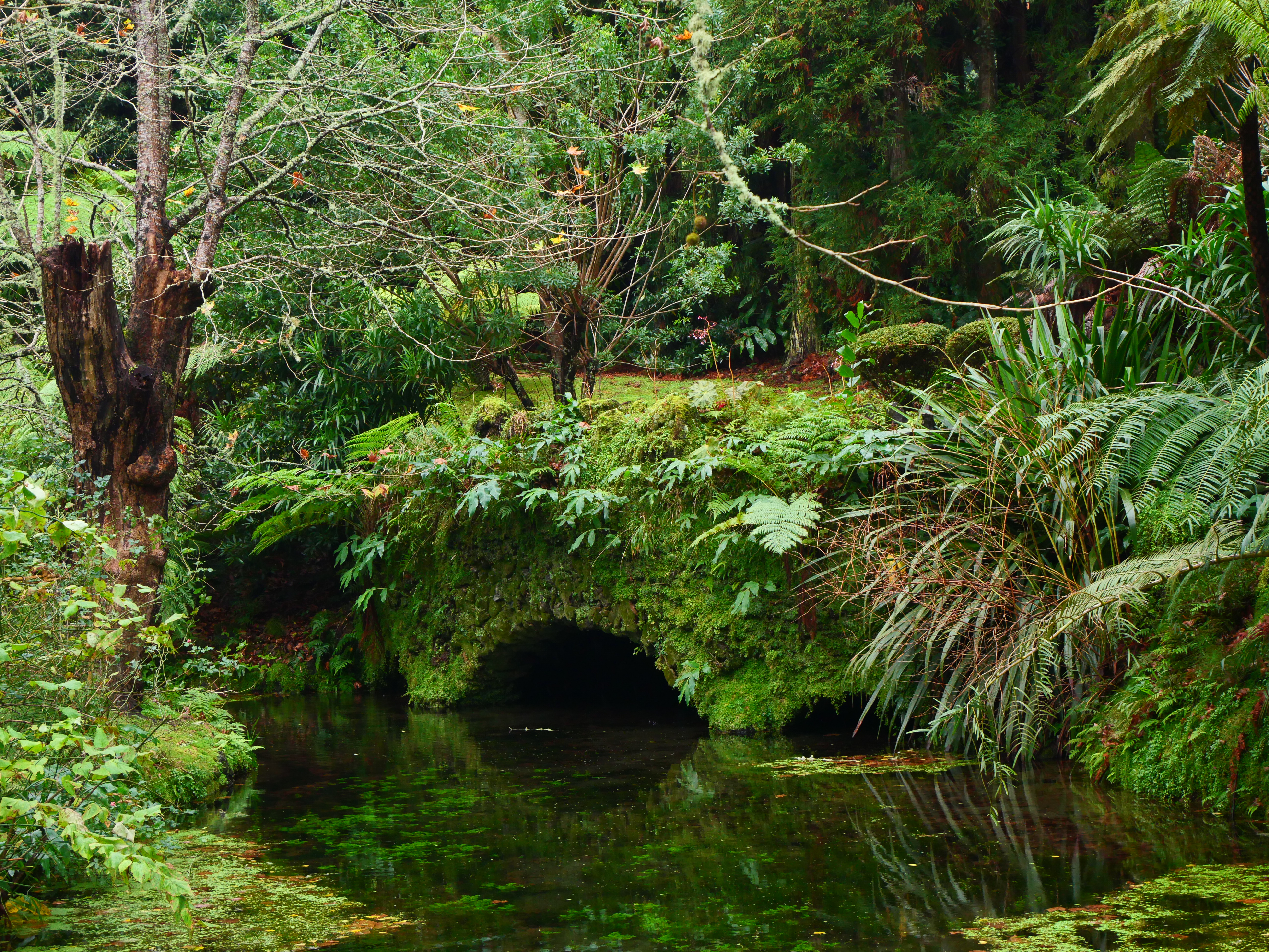 Exploring Furnas, Sao Miguel island in winter