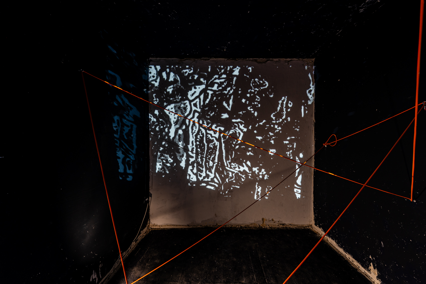 Bild 1 zu Kaleido Scope: Abgedunkelter Raum mit orangenen Schn&uuml;ren, die  durch den Raum gespannt wurden. An die gegen&uuml;berliegende Wand ist eine interaktive Videoinstallation projiziert in schwarz-wei&szlig;en organischen Mustern, die sich bewegen, wenn eine Person sich davor bewegt.