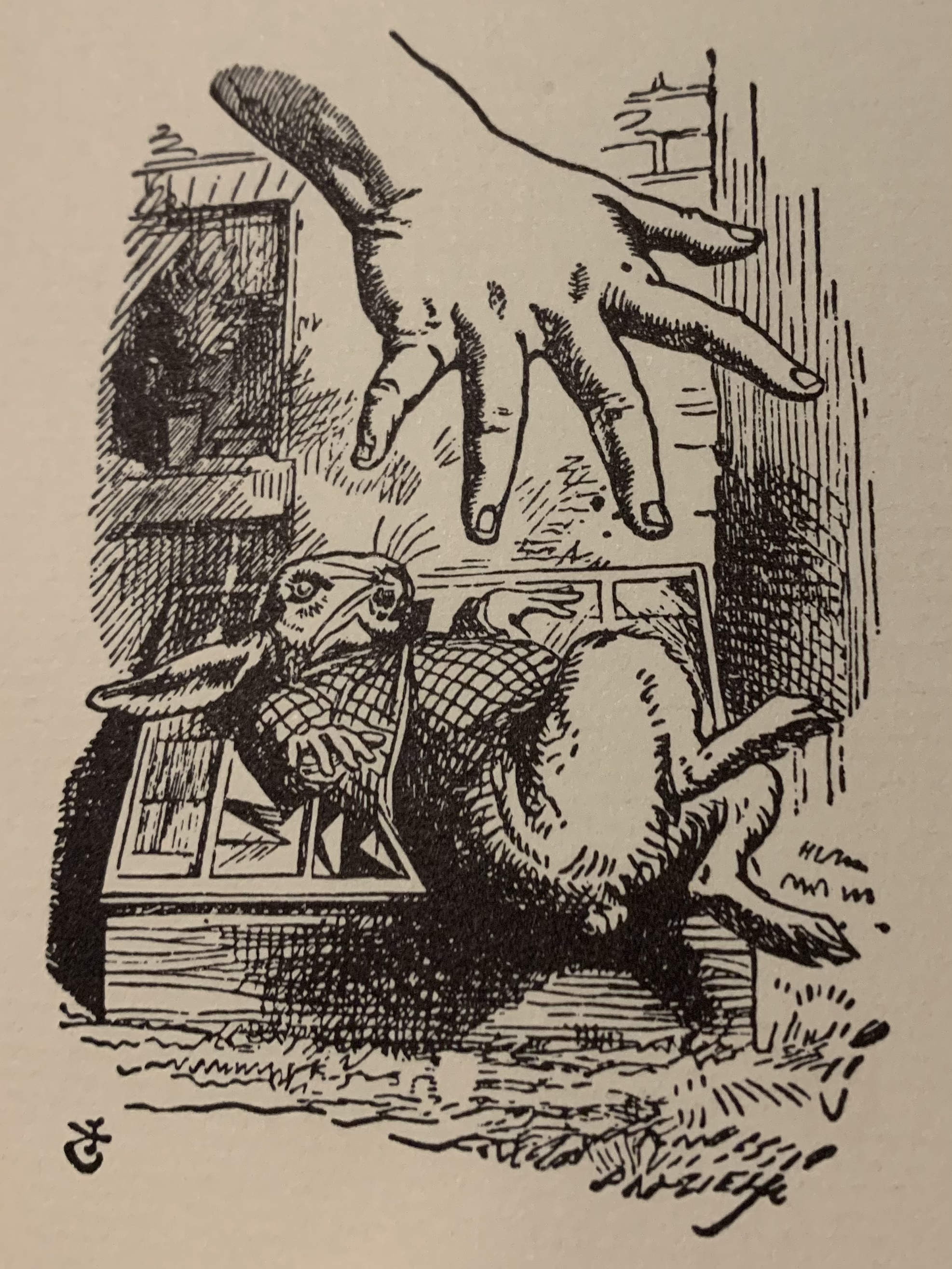 from a book i found on the street-annotated alice in wonderland