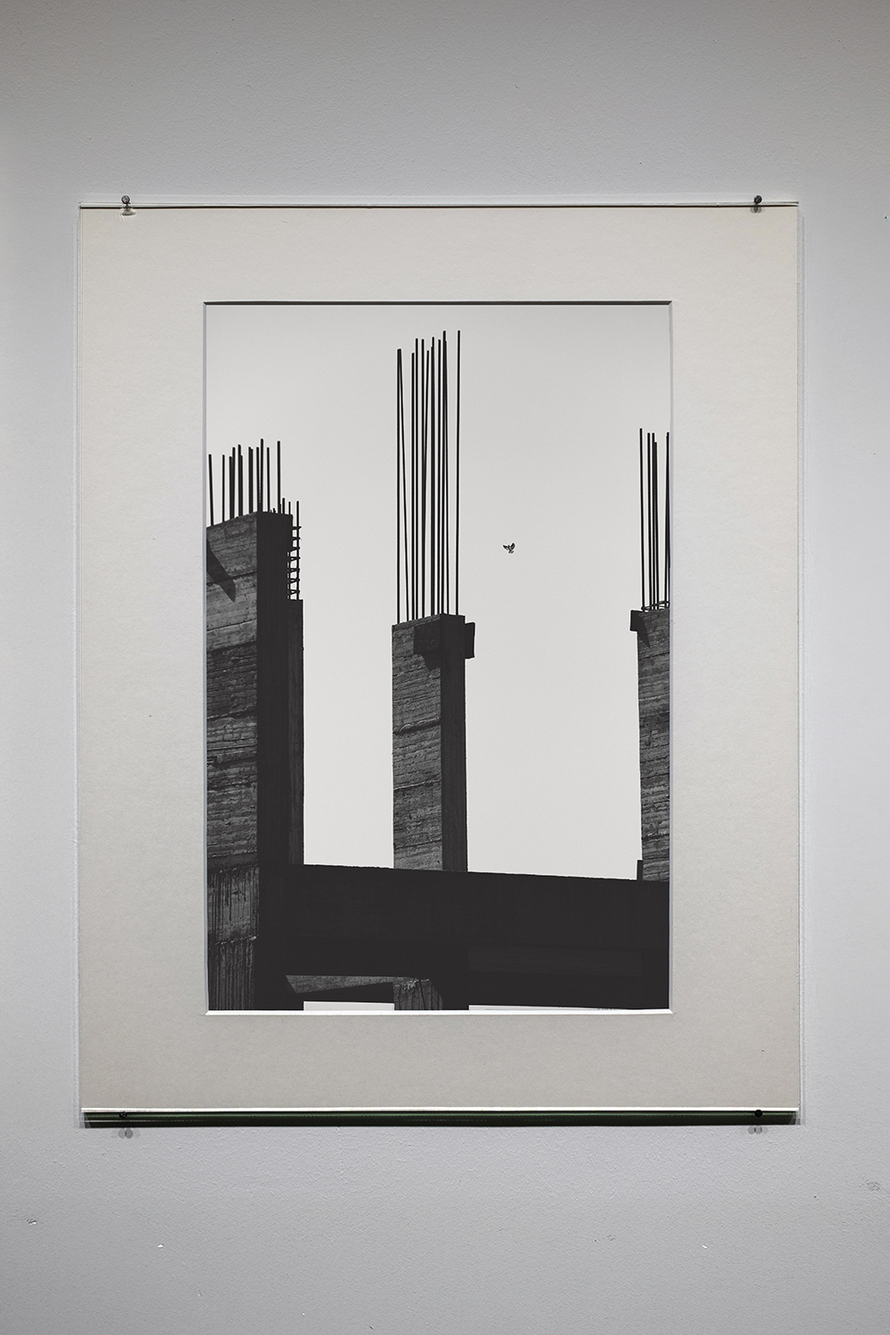 House Sparrow, 2021, archival pigment print, 44 x 35 cm