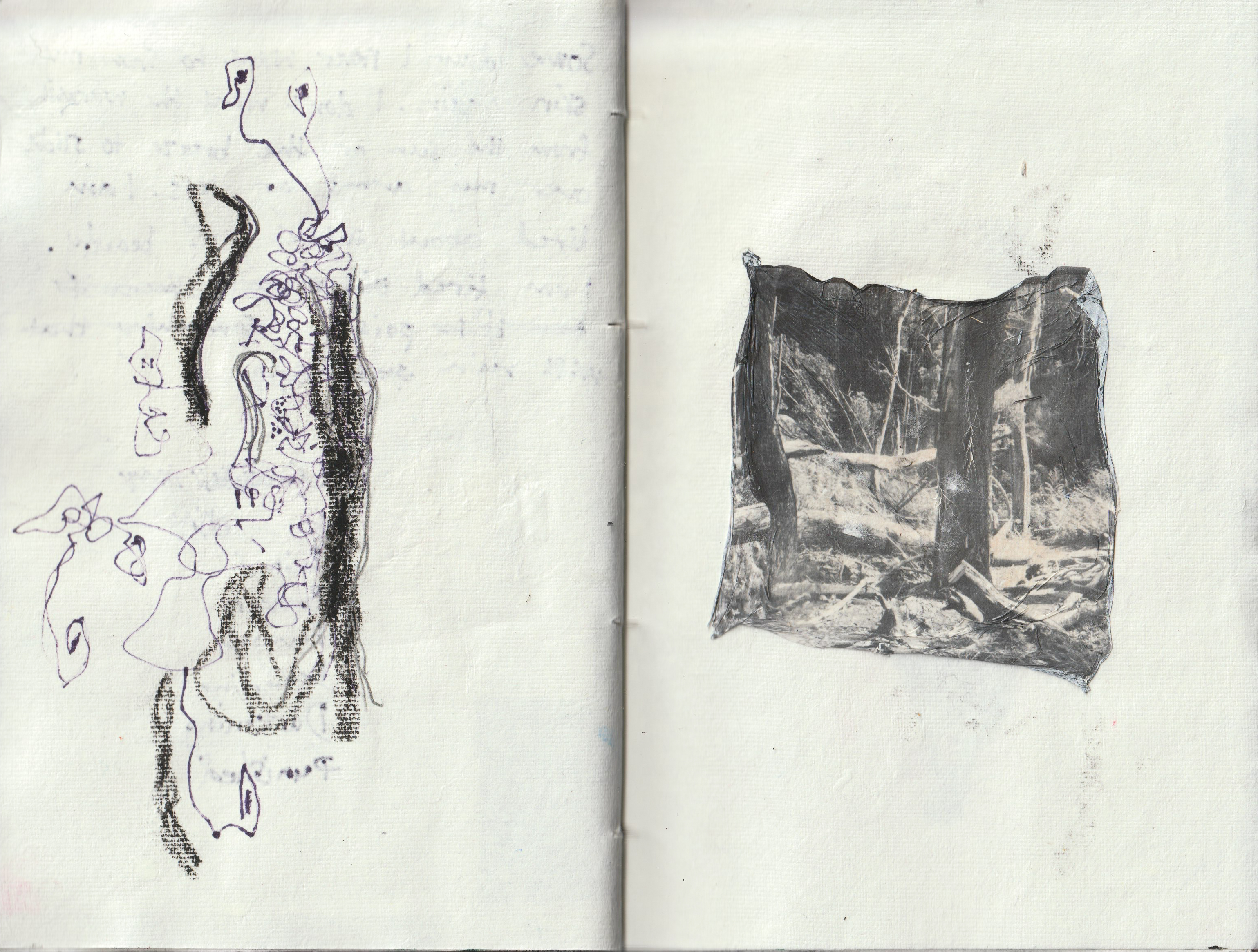 — SELF PORTRAIT / THE FOREST