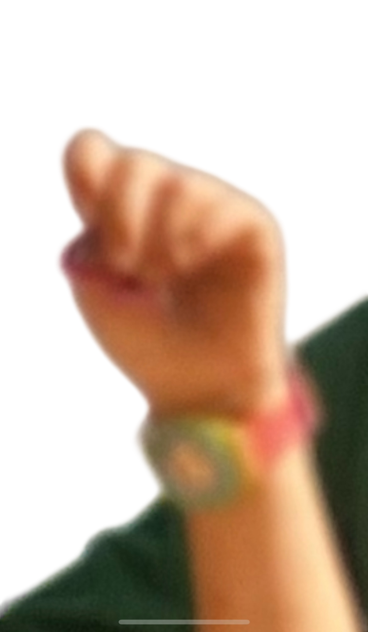 Giannina Adriana Lisitano, Identify me! Swatch Scuba 200 Bay Breeze SDJ101, 1993/2026