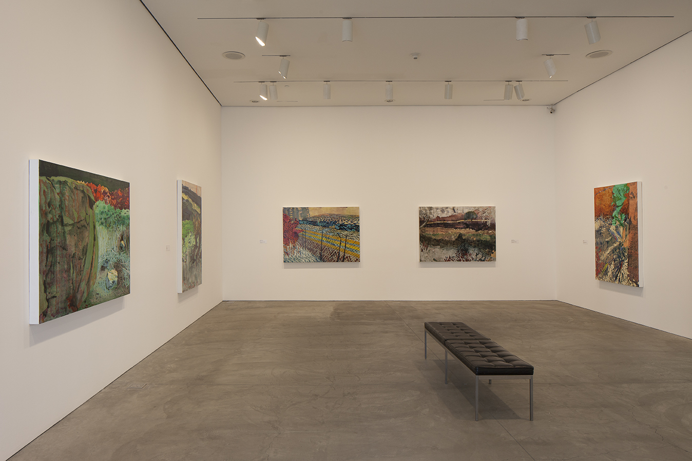 Installation shot, MCASD 2014