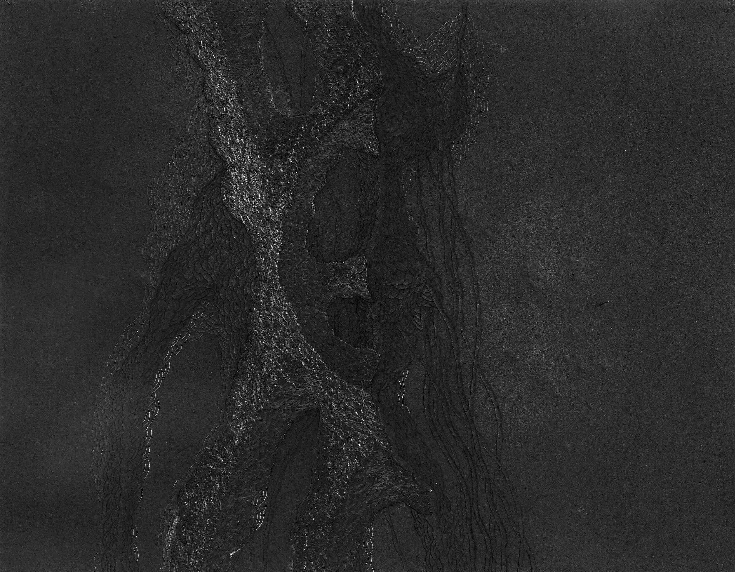  Untitled, 2007 . Cut and carved paper . 32 x 41 cm