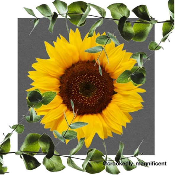 crookedly_magnificent