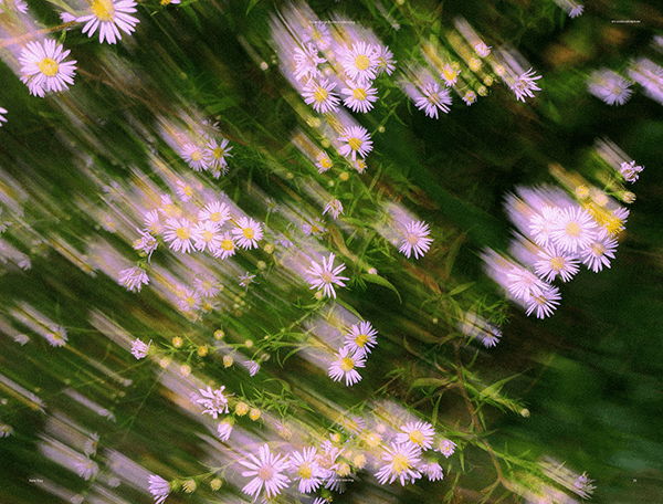 Wrapping Paper Set — $15