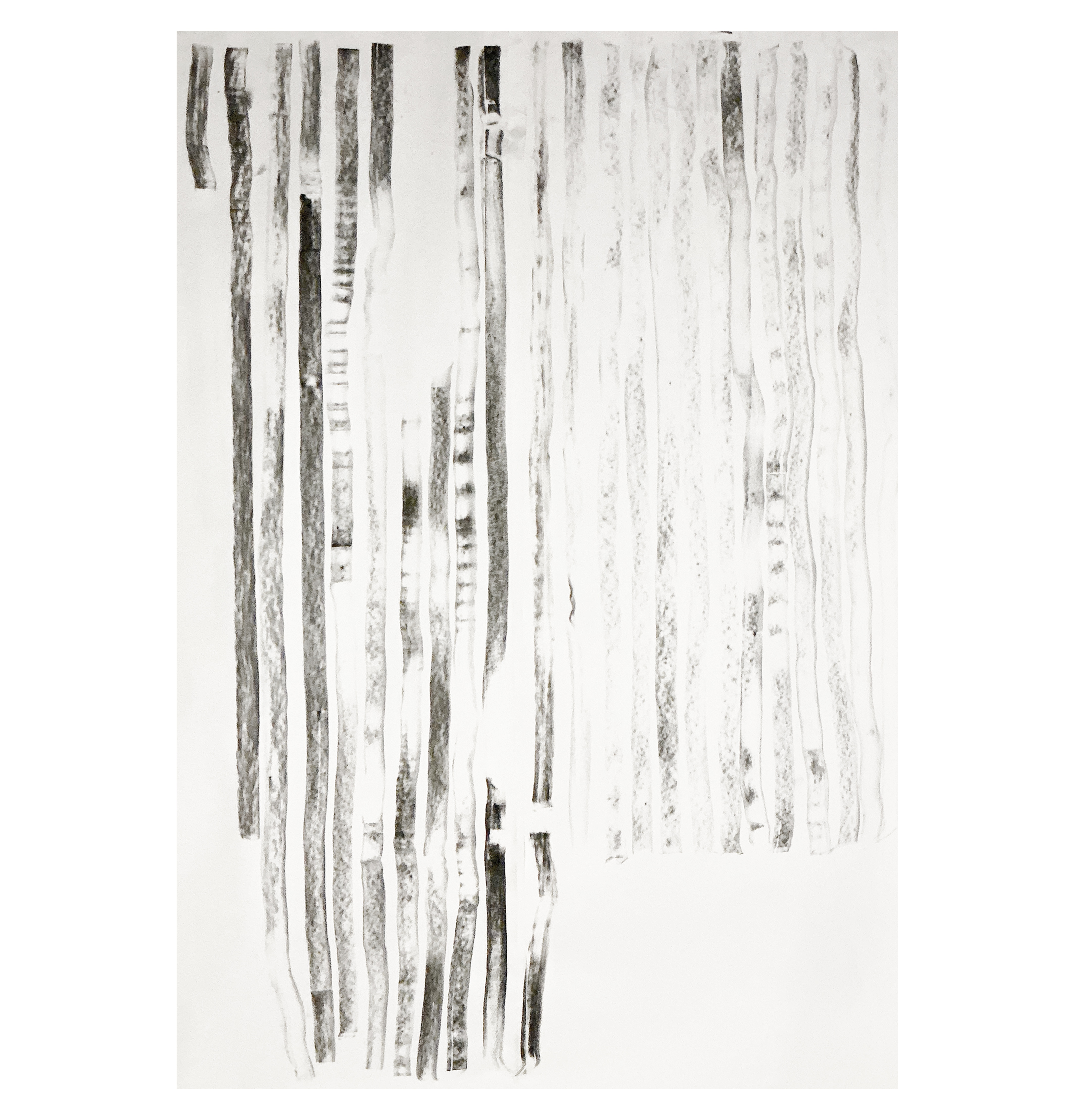 "carved", 2025, charcoal on paper