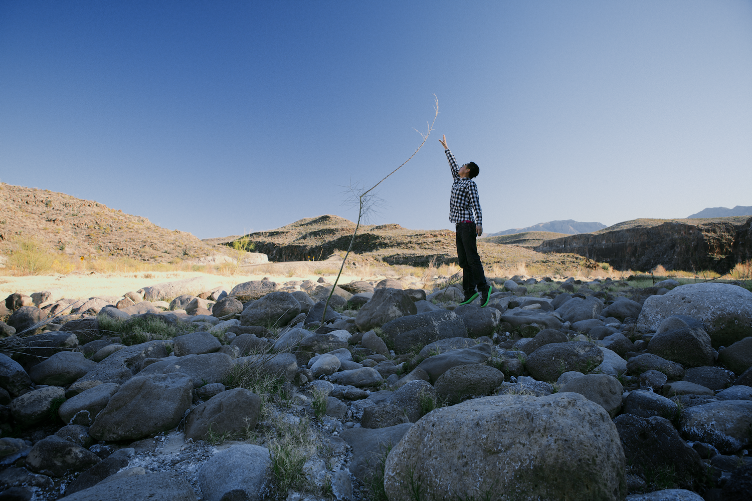 reach, photograph 2014