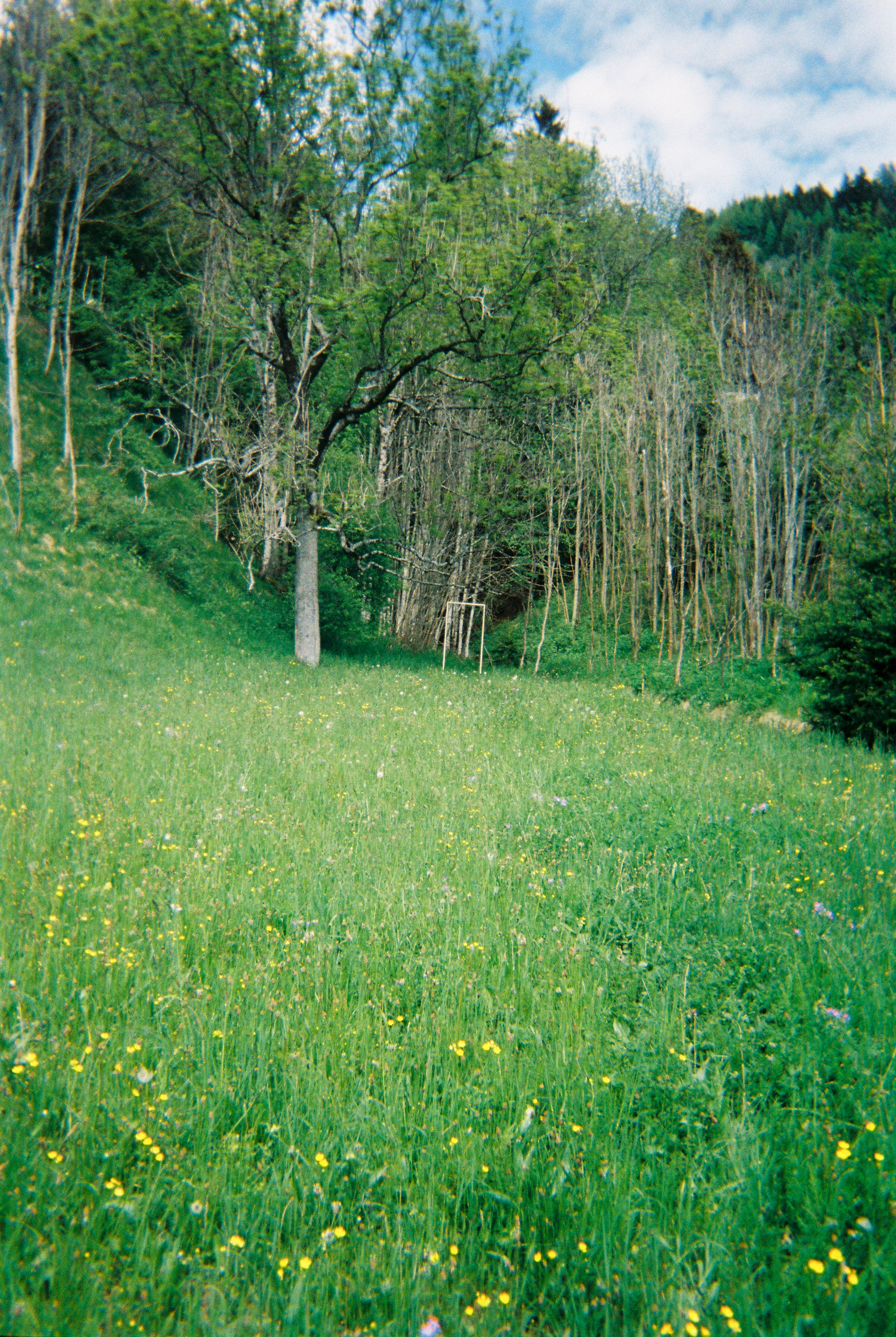 Photographs taken while walking on THE LINE in Liechtenstein by Studio Venice