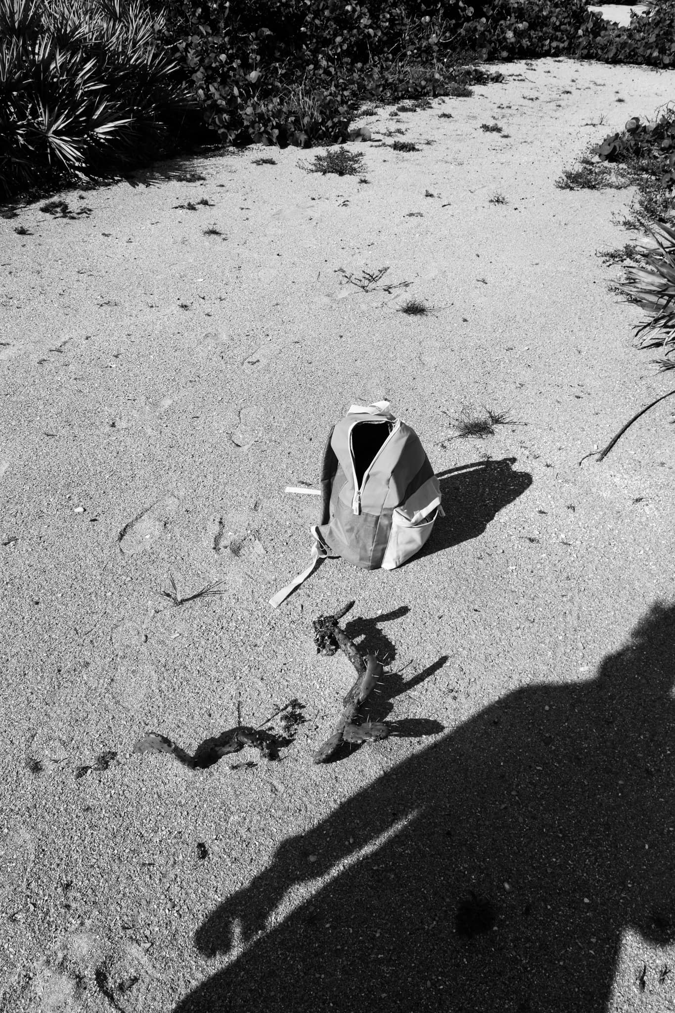 Klondike Beach Trail List — auralfieldstudy