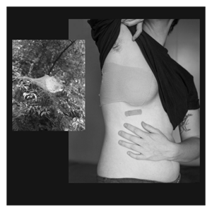 August: Sky Maggiore