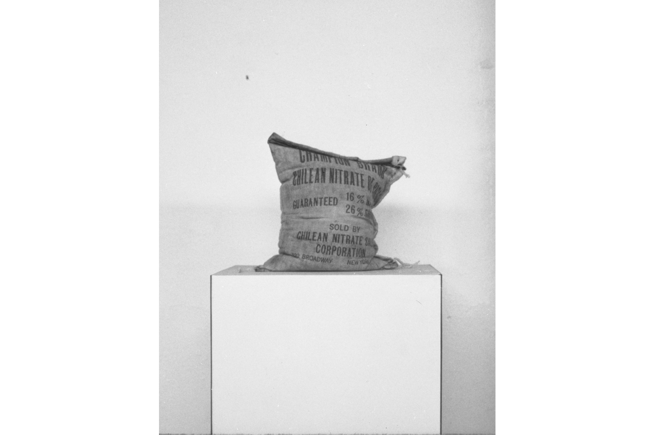 Juan DowneyChilean Nitrate Sack, 1969Saco de algodón estampado39 x 29 cm