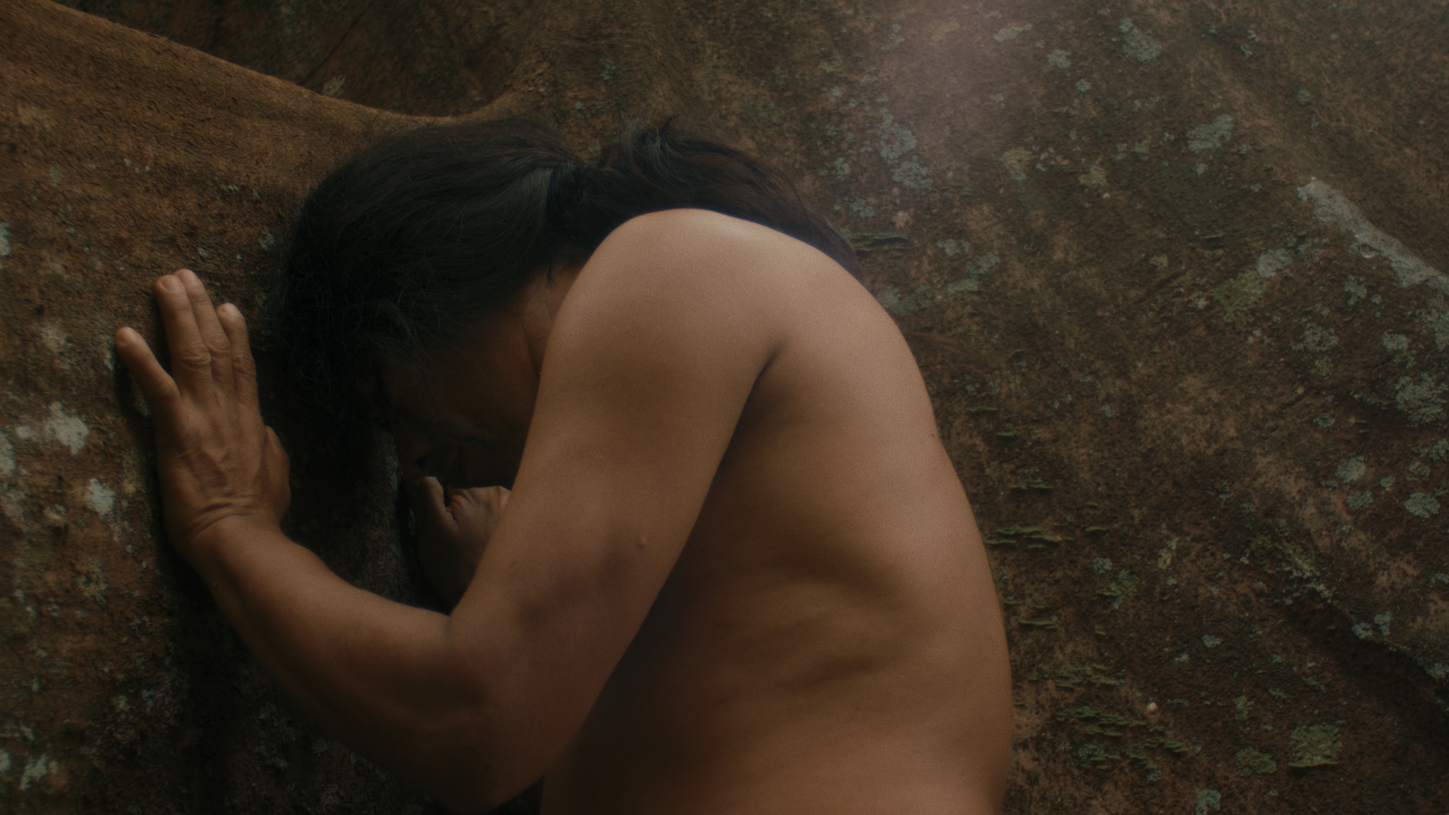 Leviathan // Film Series // Shezad Dawood