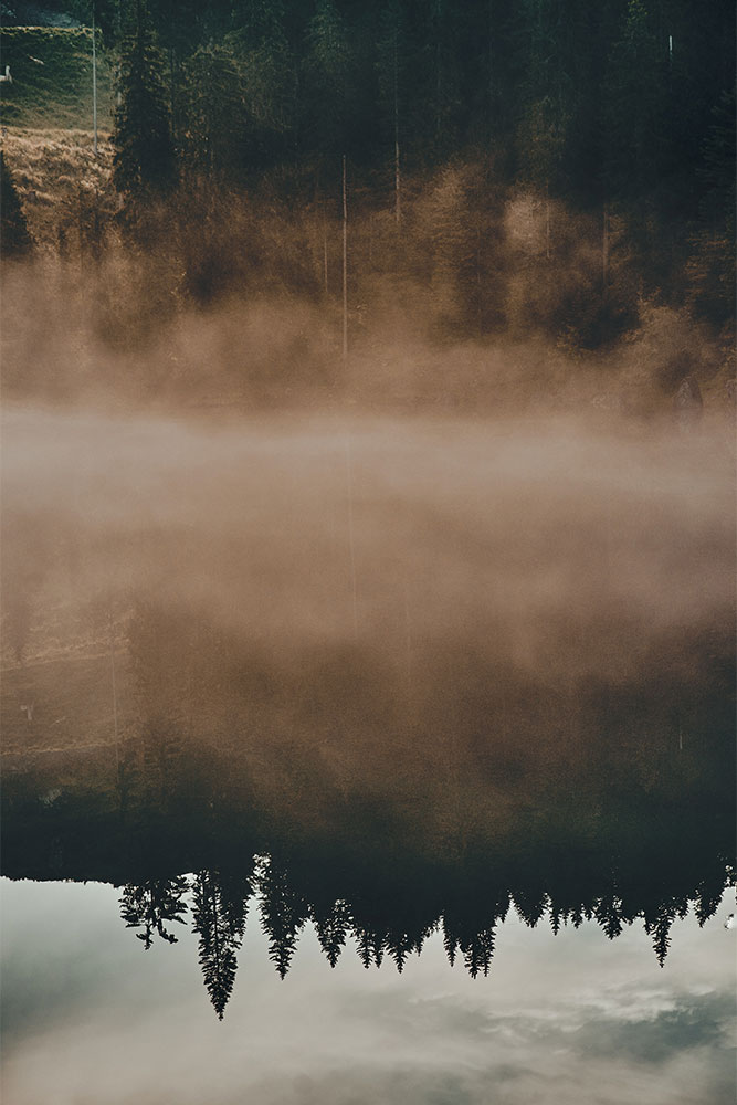 original image by Eberhard Grossgasteiger