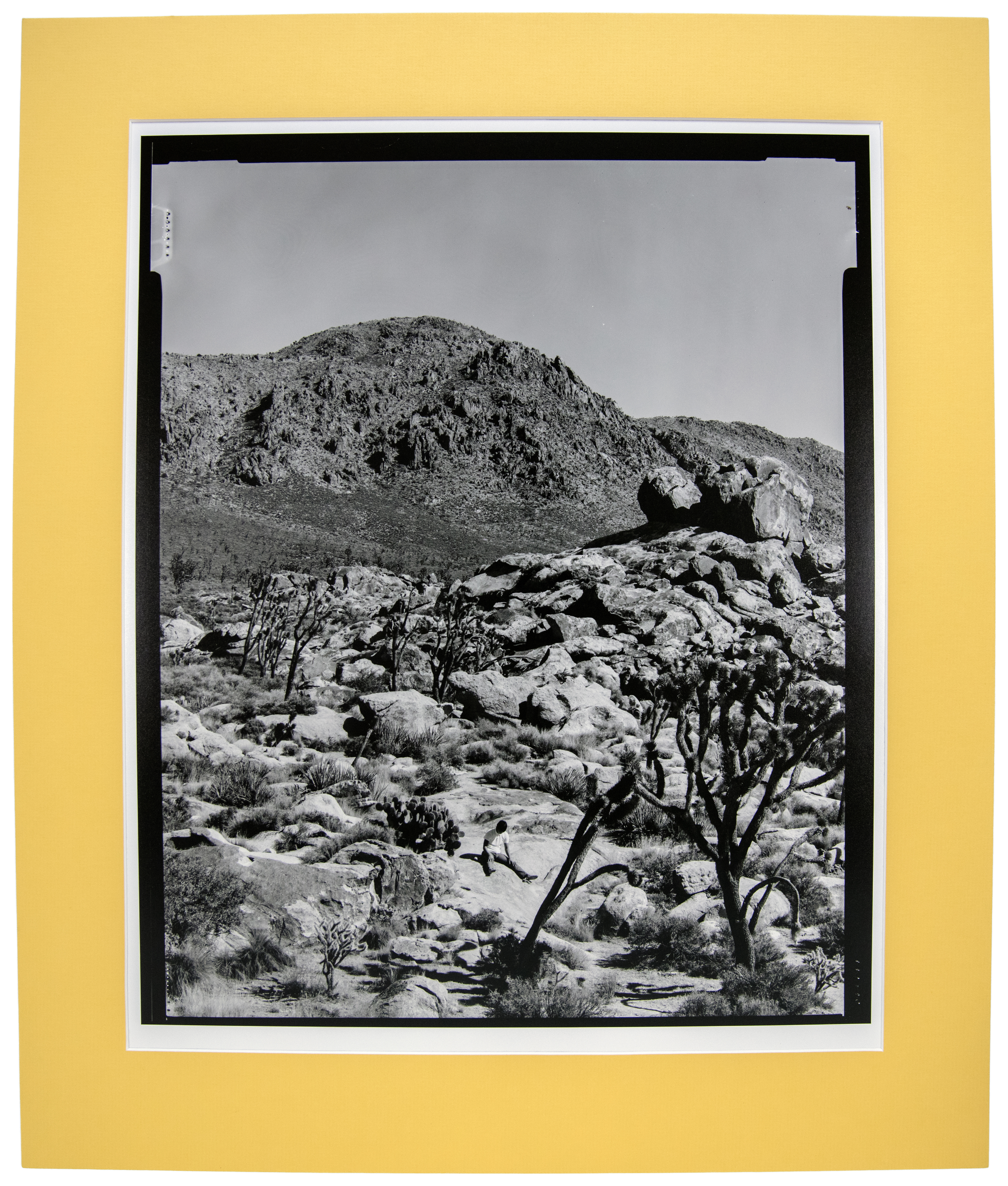 Ethereal, Otherworldly Visions (matted), 2014Pearl resin-coated paper, mat board20 x 24 in.50.8 x 60.96 cm