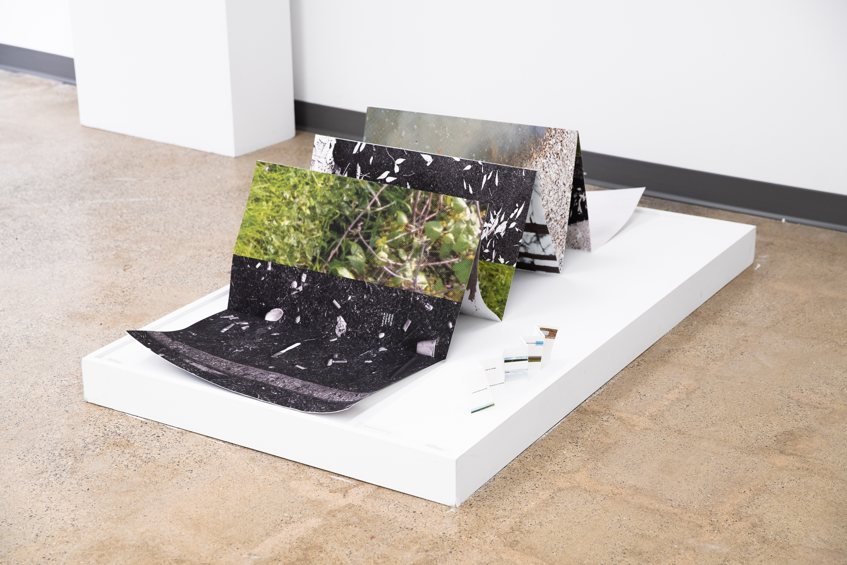 a big book about little thingsa little book about big thingsCollaboration with Annabelle ColletteLeporello accordion books, inkjet printed, 2023Photo by Joel Tsui