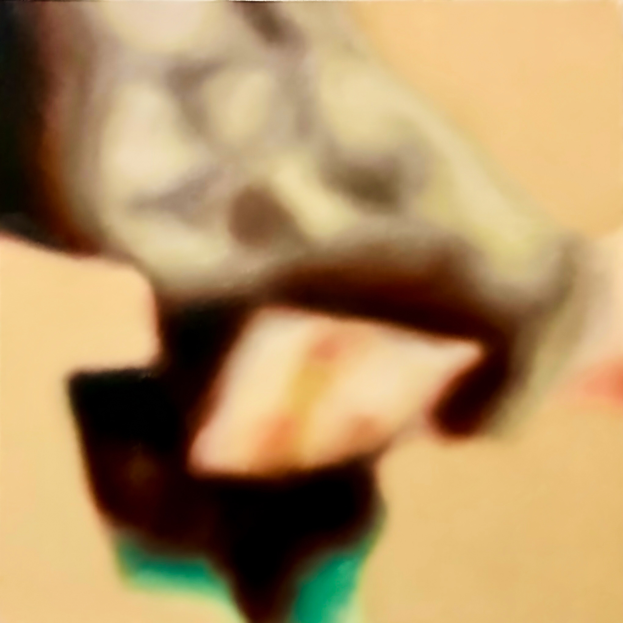 s***** #2 | 2024 | Oil on Canvas | 40 x 40 cm 