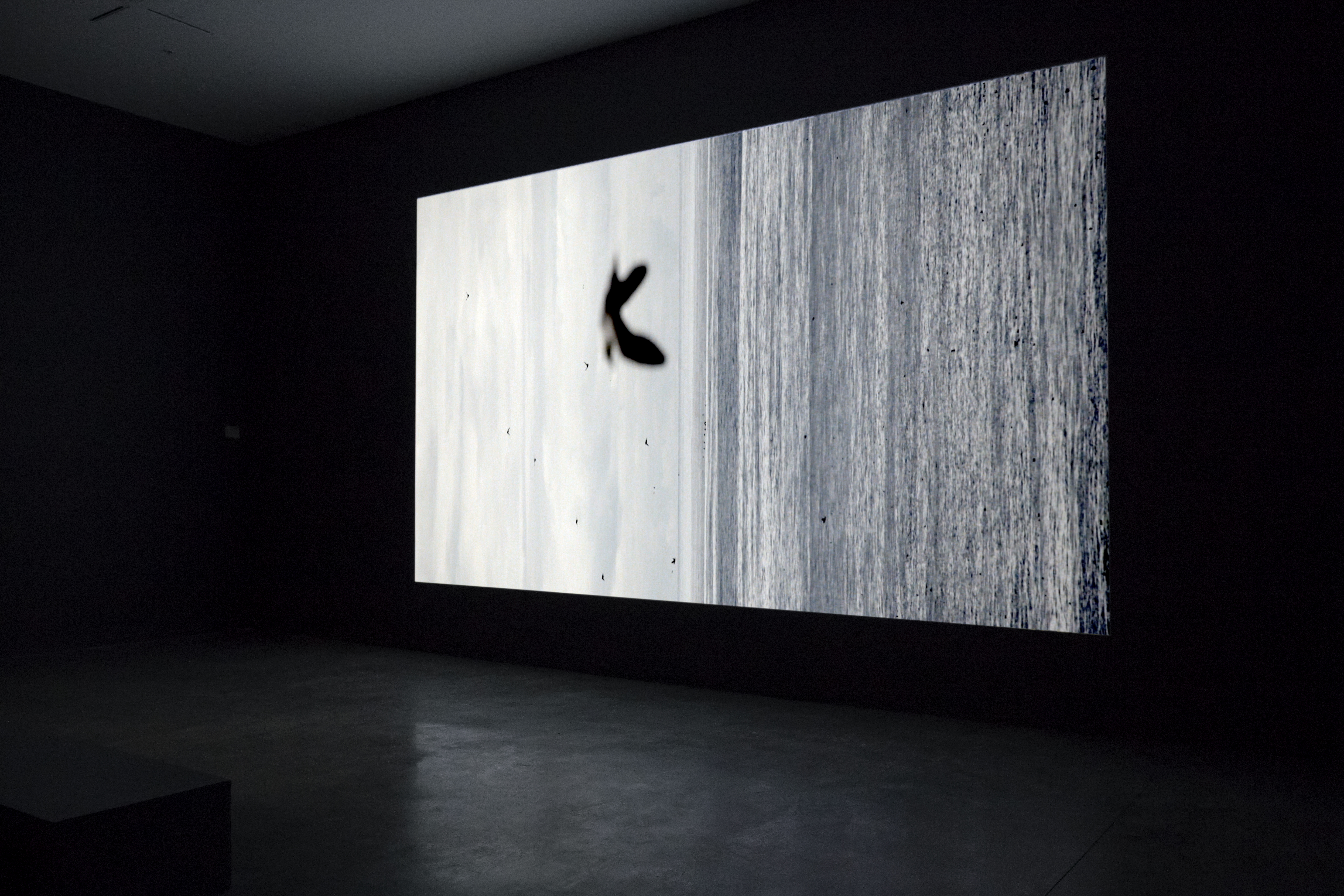CircumSolar, Migration 3, 2013; single channel video projected at architectural scale, color, sound by Drew Schnurr; 11 × 22 feet, 17:46 minutes. Installation view at ‘REALSPACE,’ Williamson Gallery, Pasadena, California, 2014.