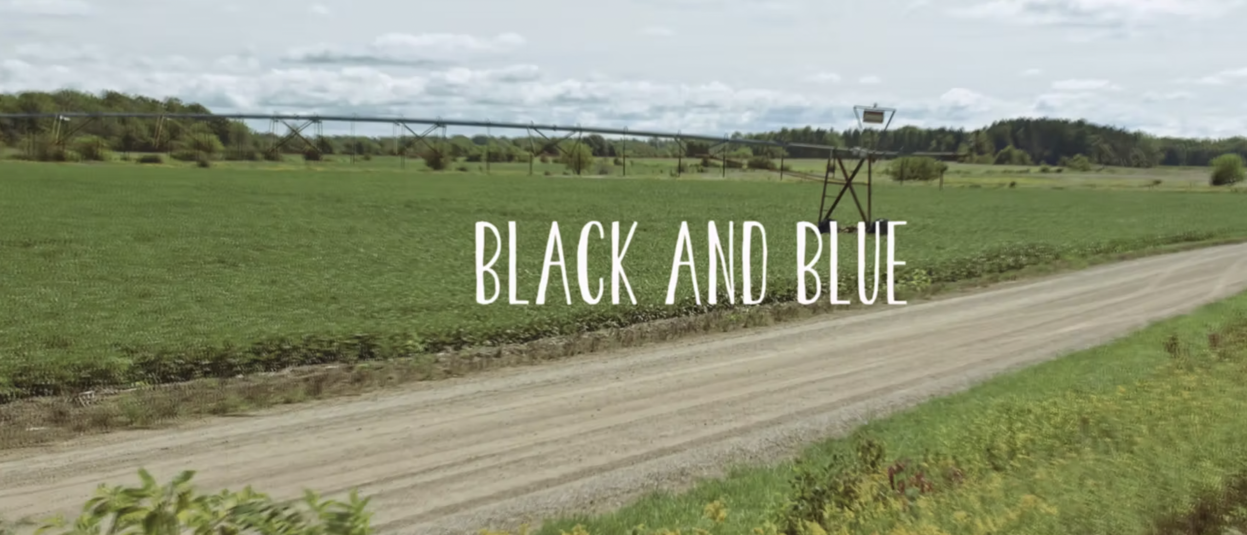 Black and Blue (Storyboard artist)