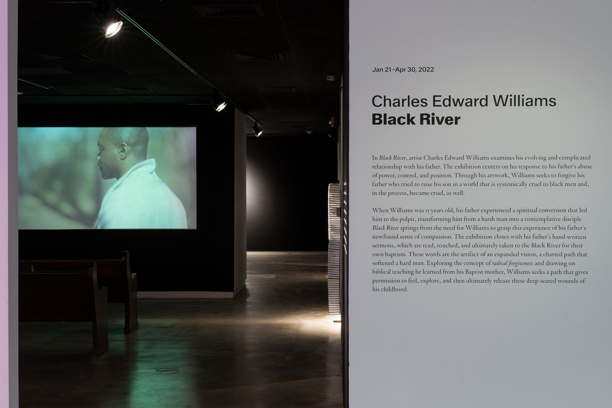 Charles Edward Williams: Black River, Utah Museum of Contemporary Art