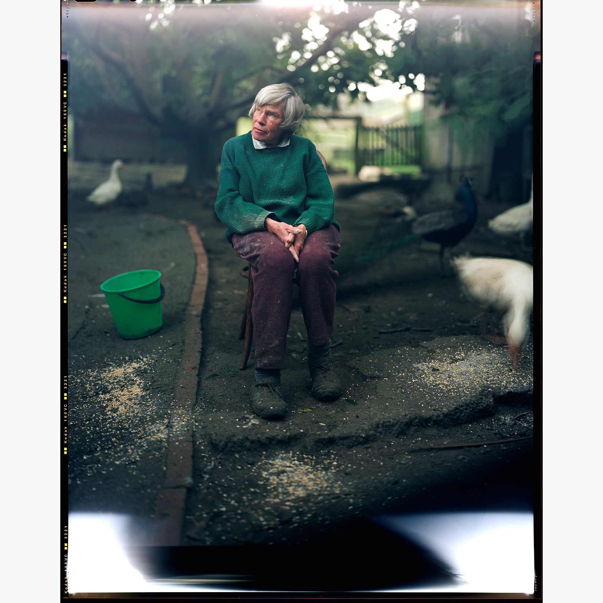 2/2Mother, Rottowers, 2002 (021225_802)