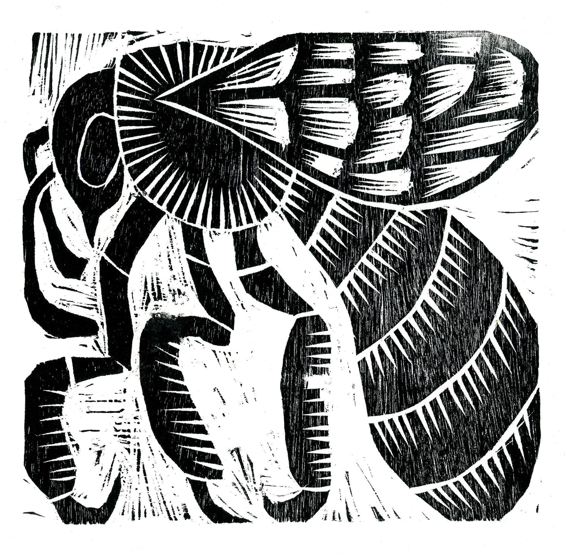 Honeybee, woodcut