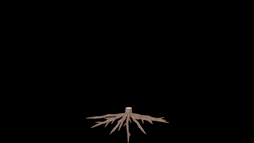 A looping tree animation
