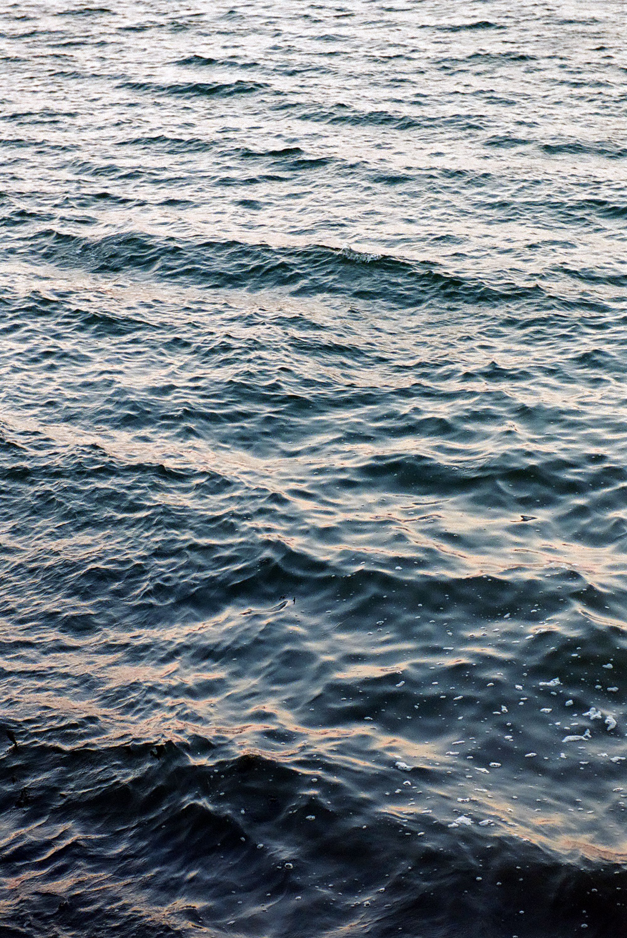 Long Island Sound, City Island, NY, 2019