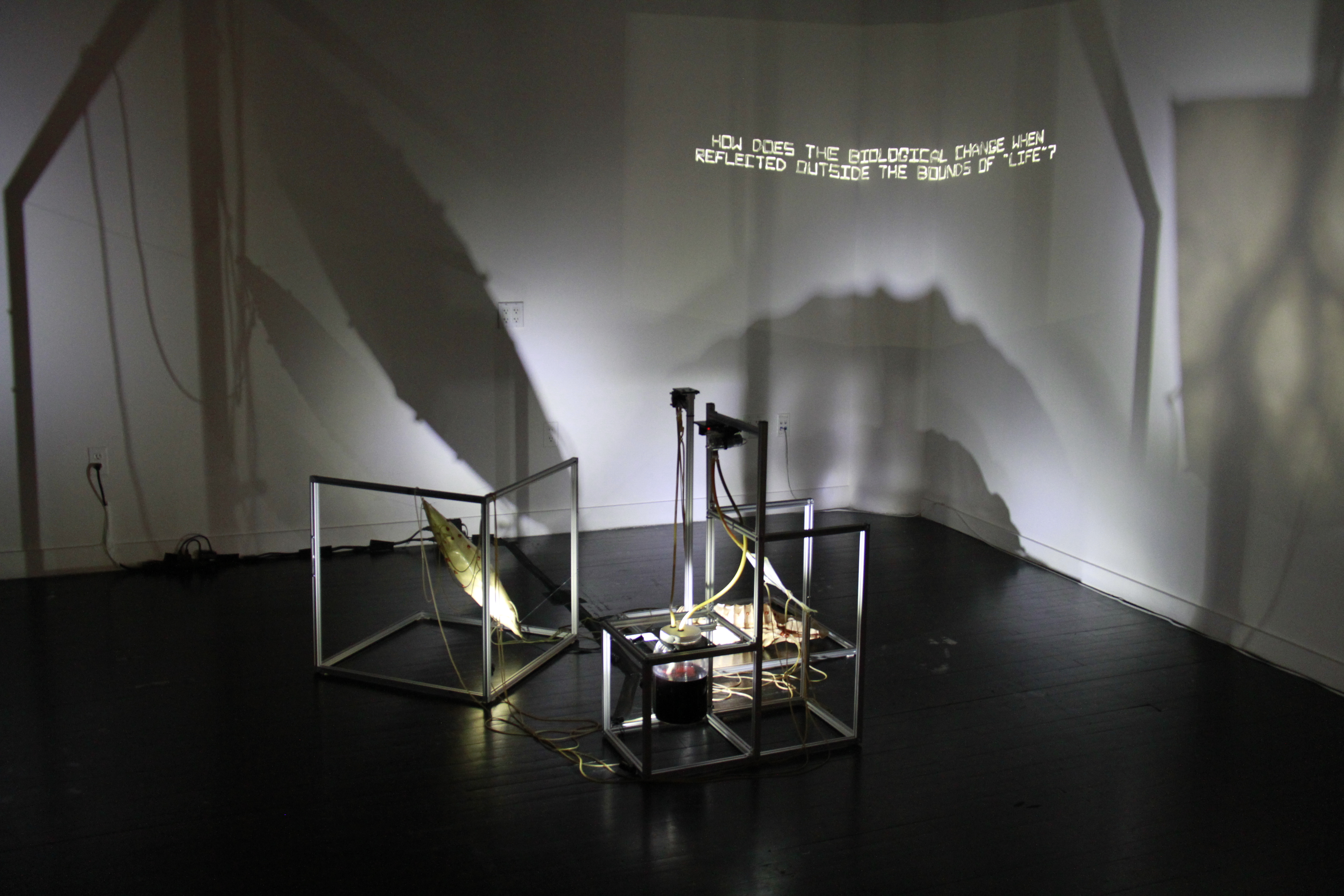 photo credit Michael Stockdale