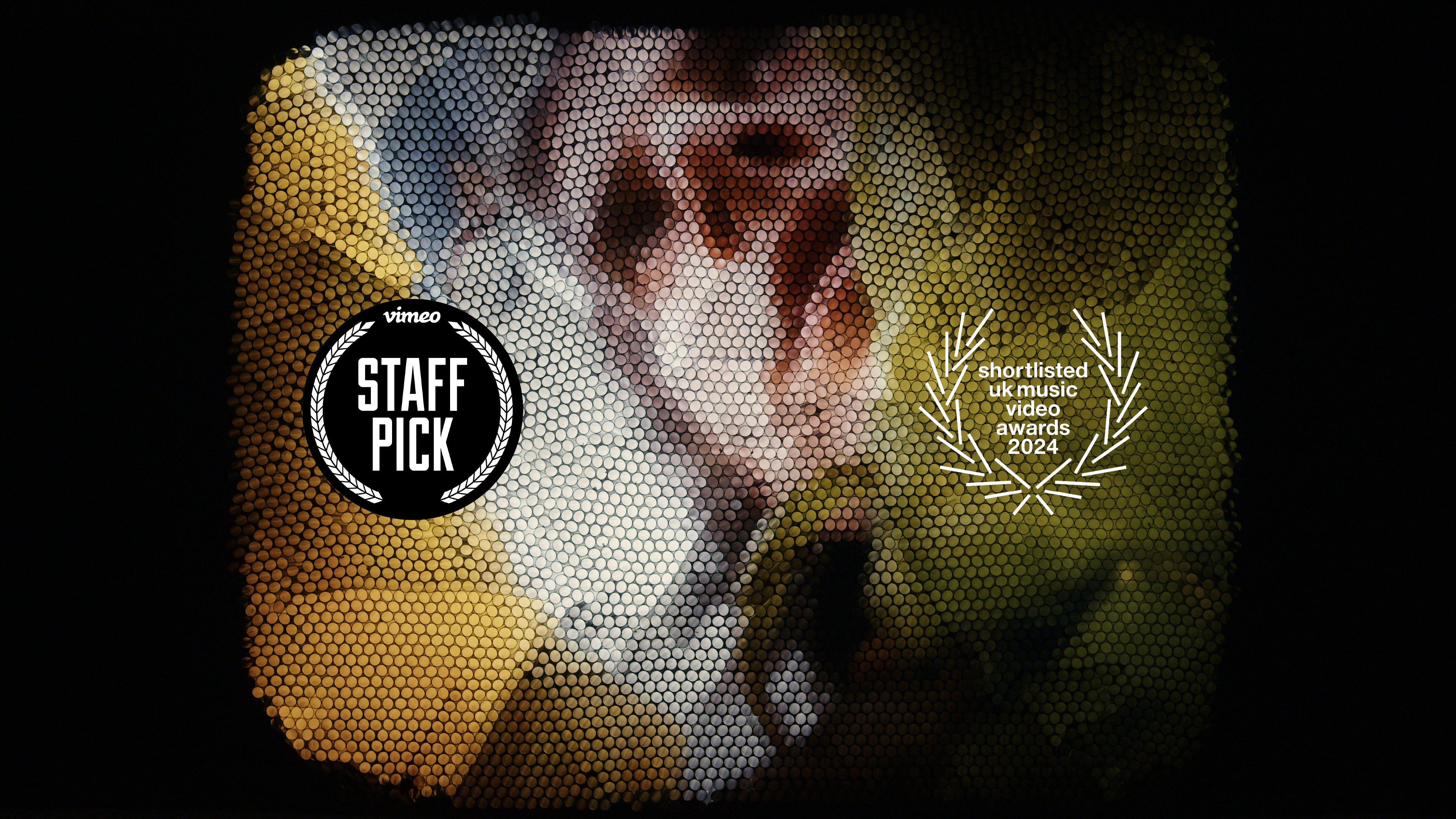 nick leng - beetlebugs