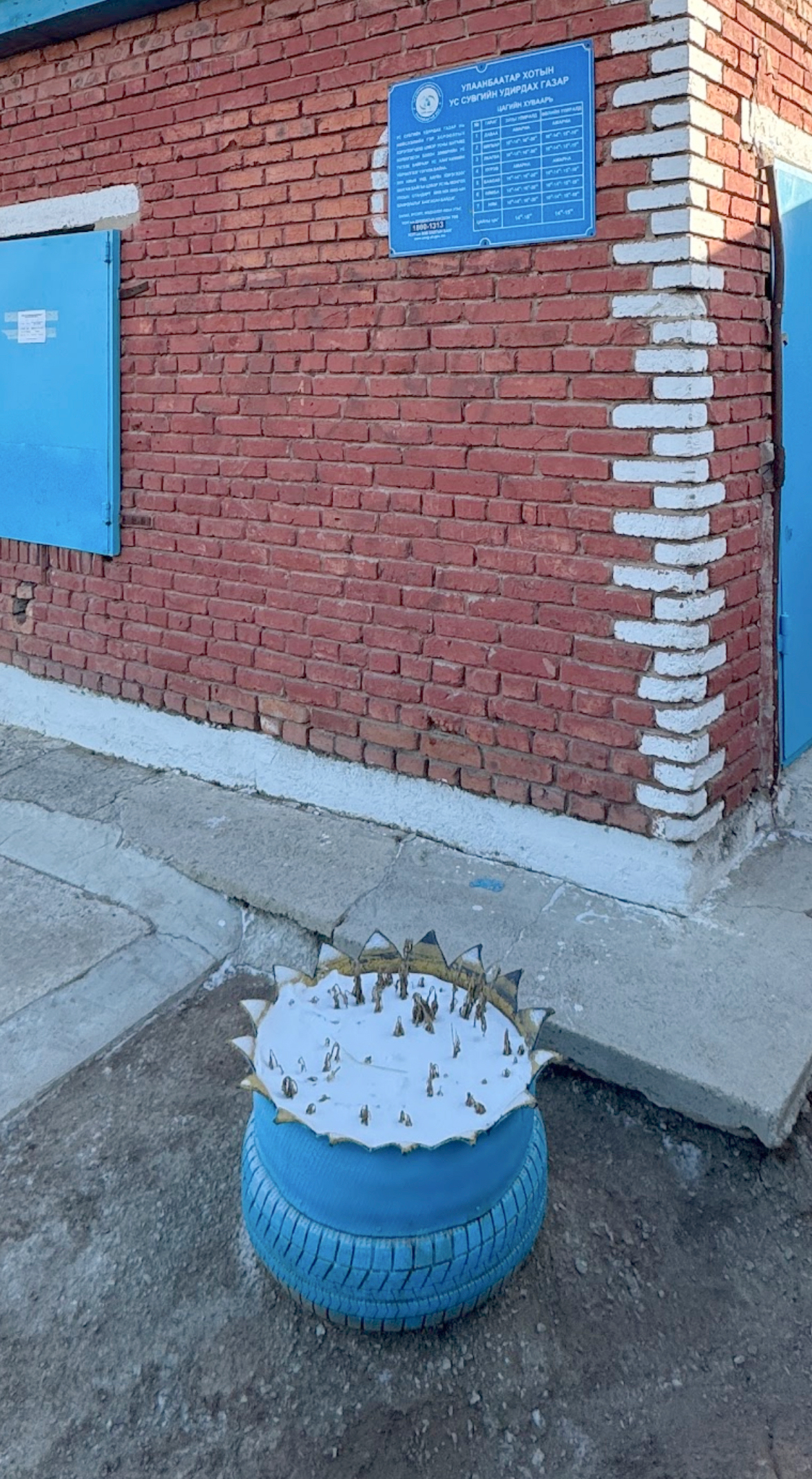 #138_Ulaanbaatar,Mongolial_Bishrelt Solongo