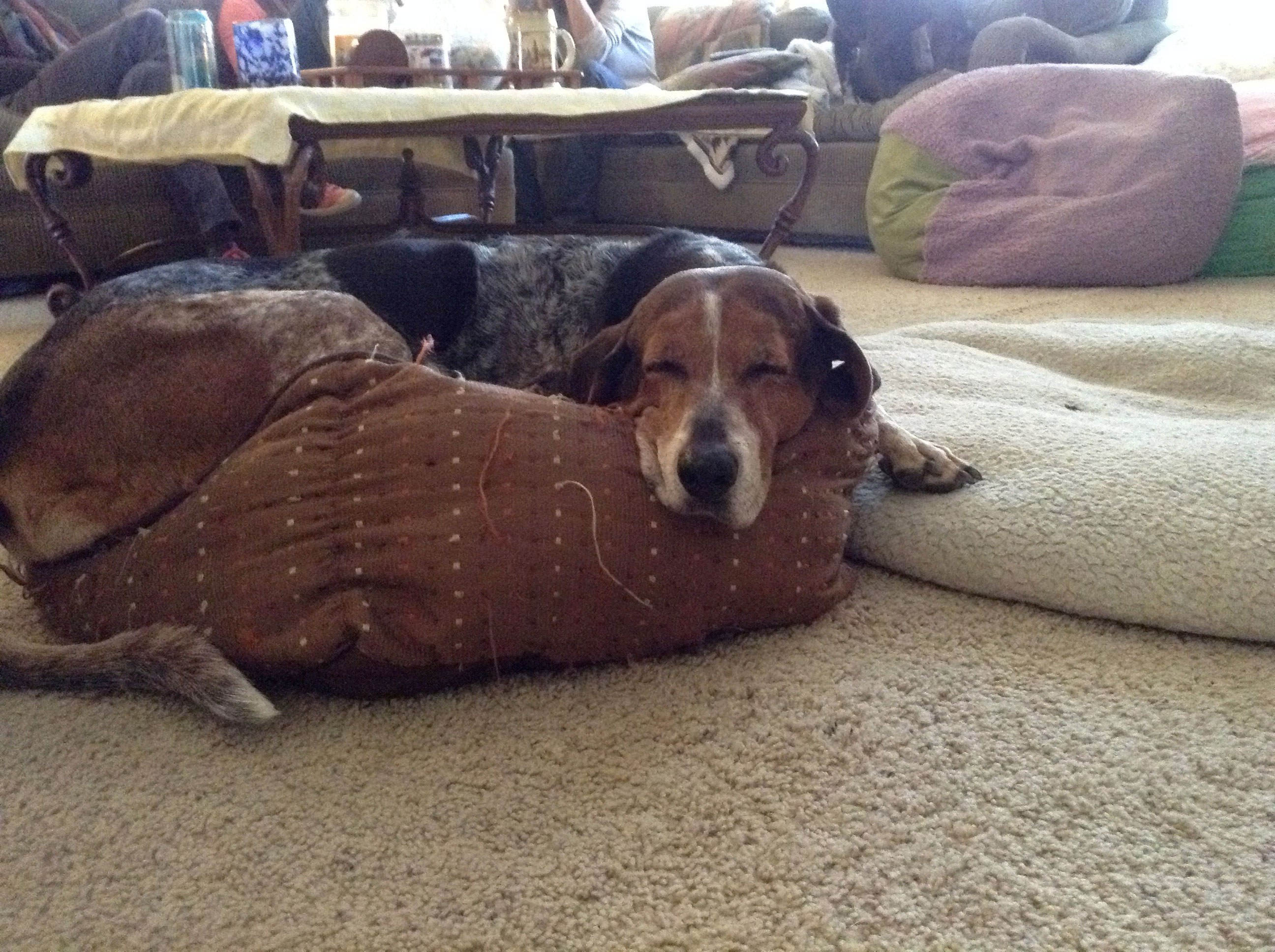 Lullah on someone's smaller bed