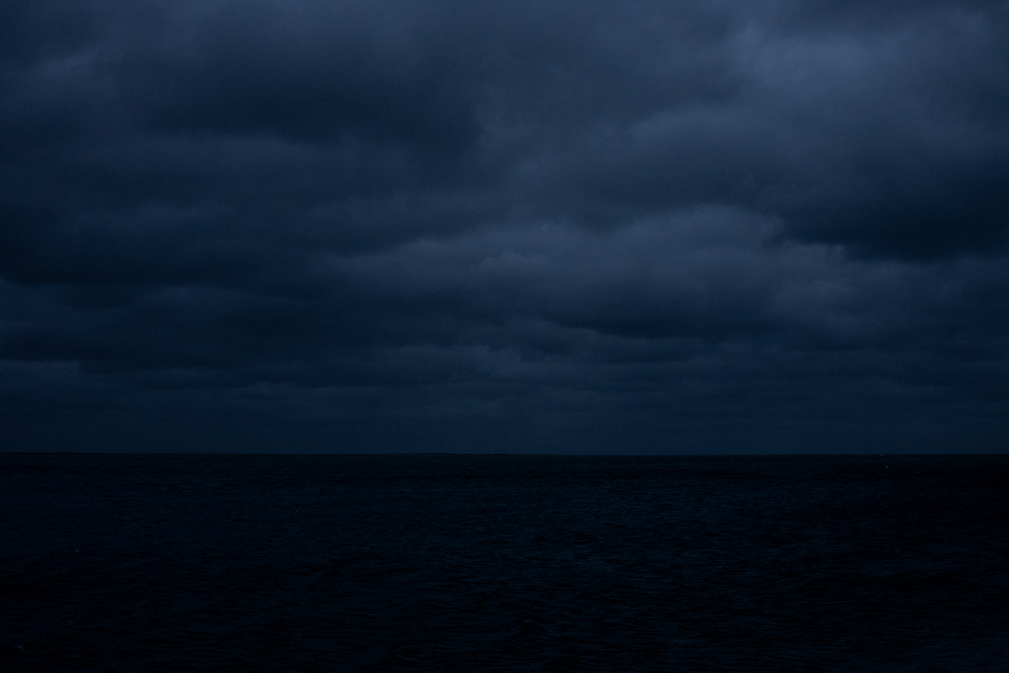 Winter. Chatham, Massachusetts 2023