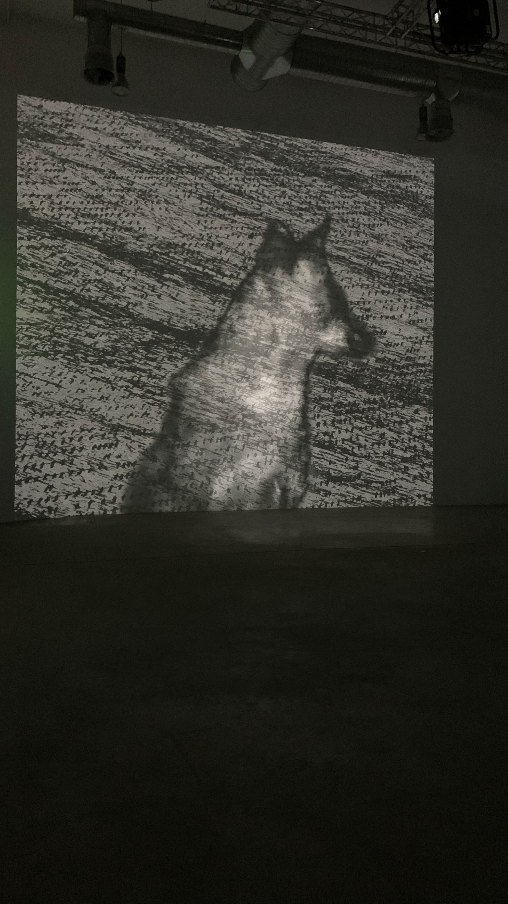 Michal Rovner at Fondazione Merz, Turin [IT]