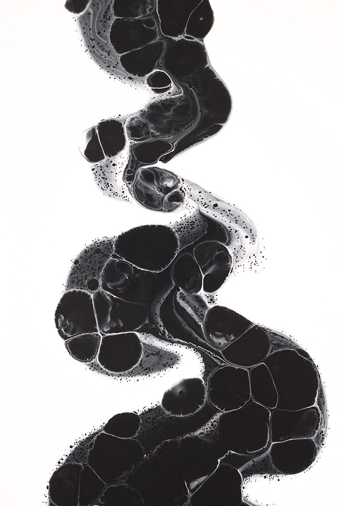 original image by Susan Wilkinson