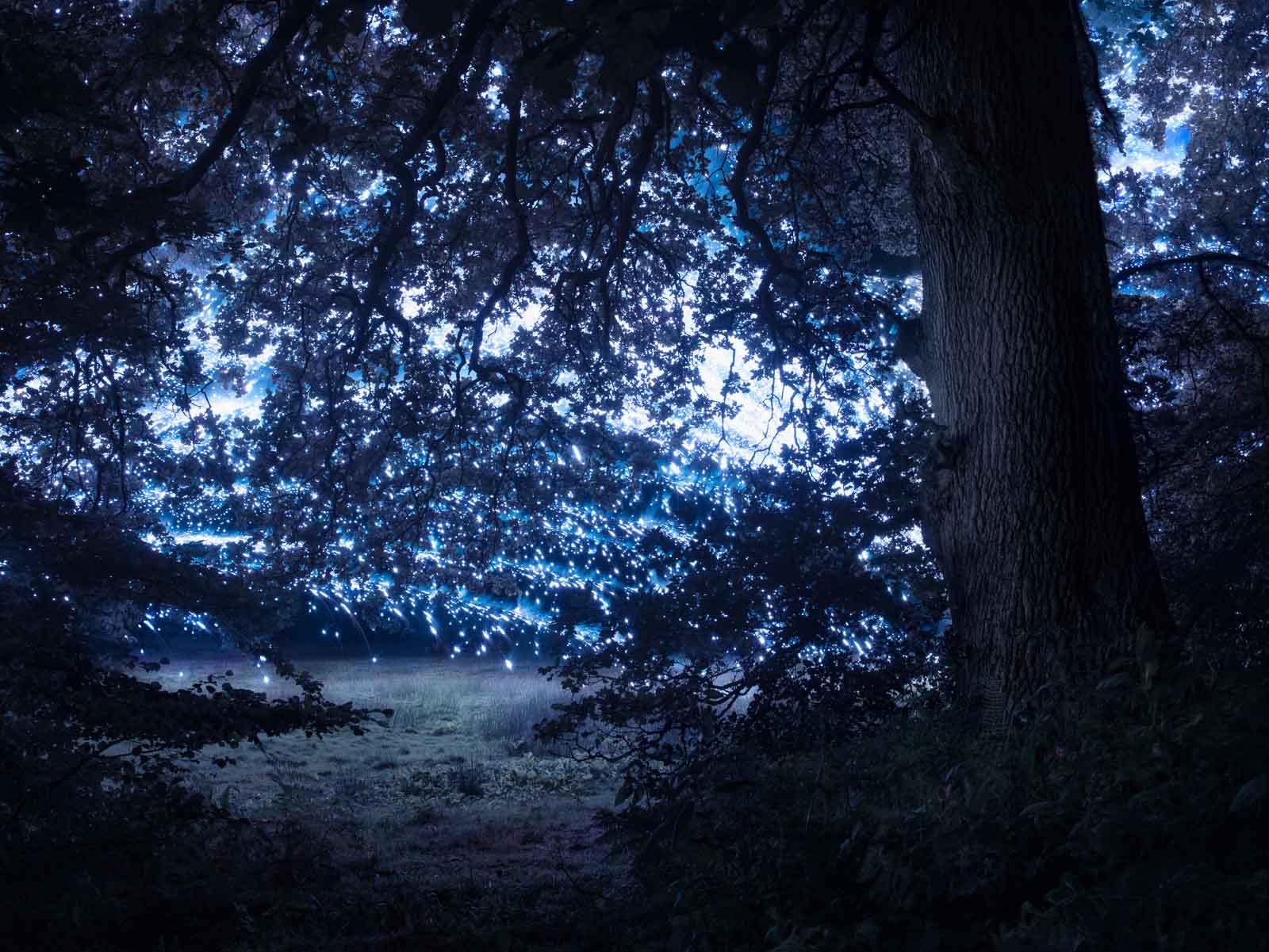 'East Boundary Blue'