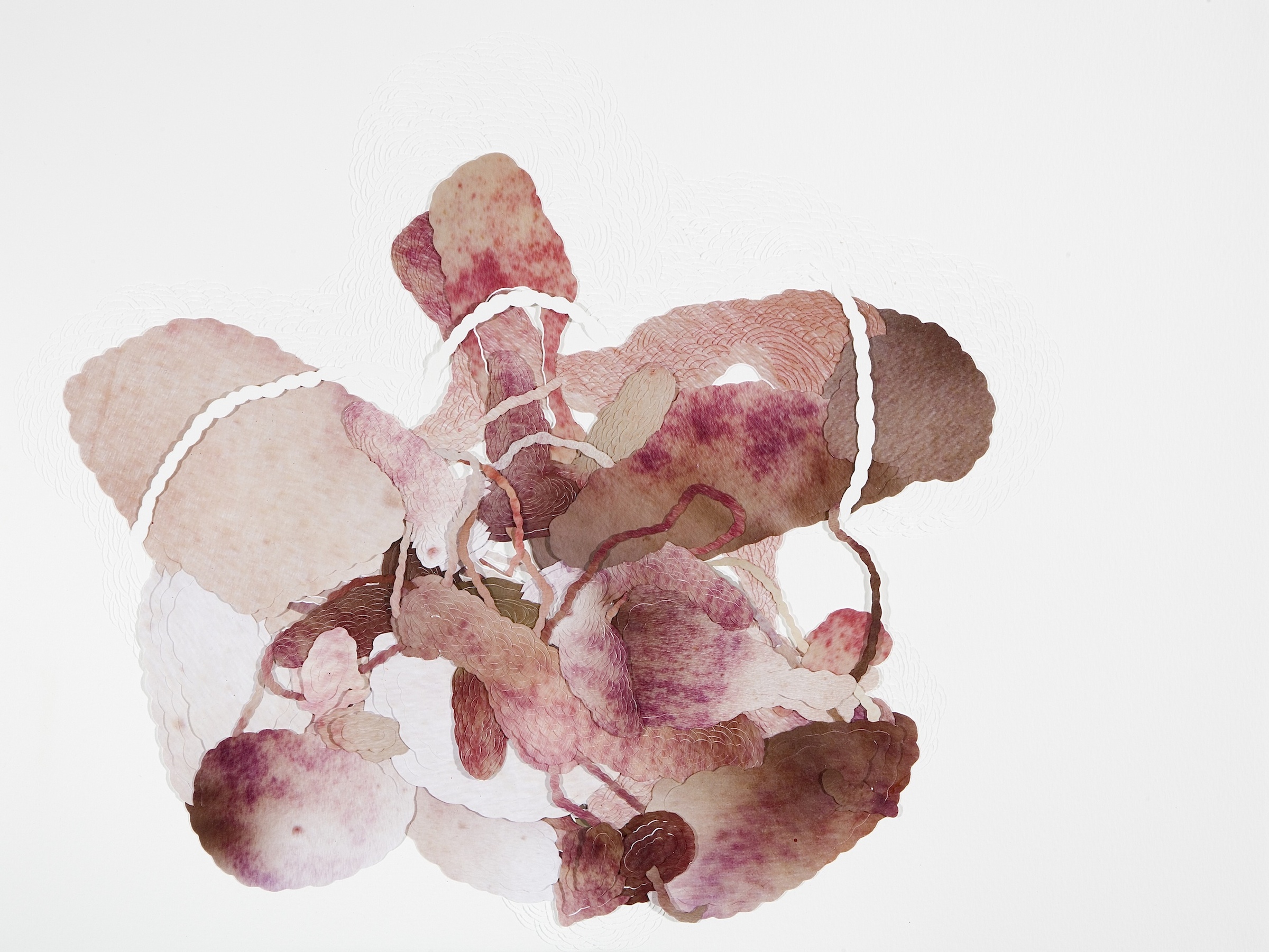  Untitled, 2010 . Cuts and carvings on paper and photographs . 40 x 50 cm