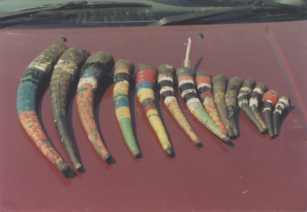 Nyele horns of Simonga, ngoma buntibe group at Siachilaba, Binga 2001 © AZFA