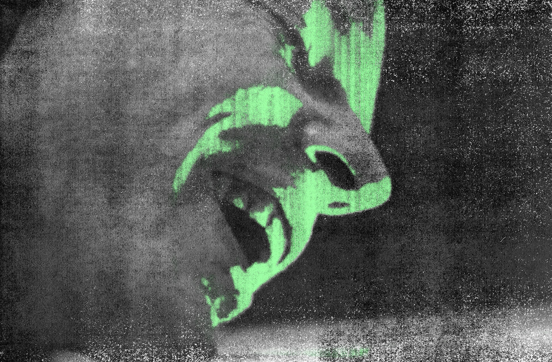 2/2