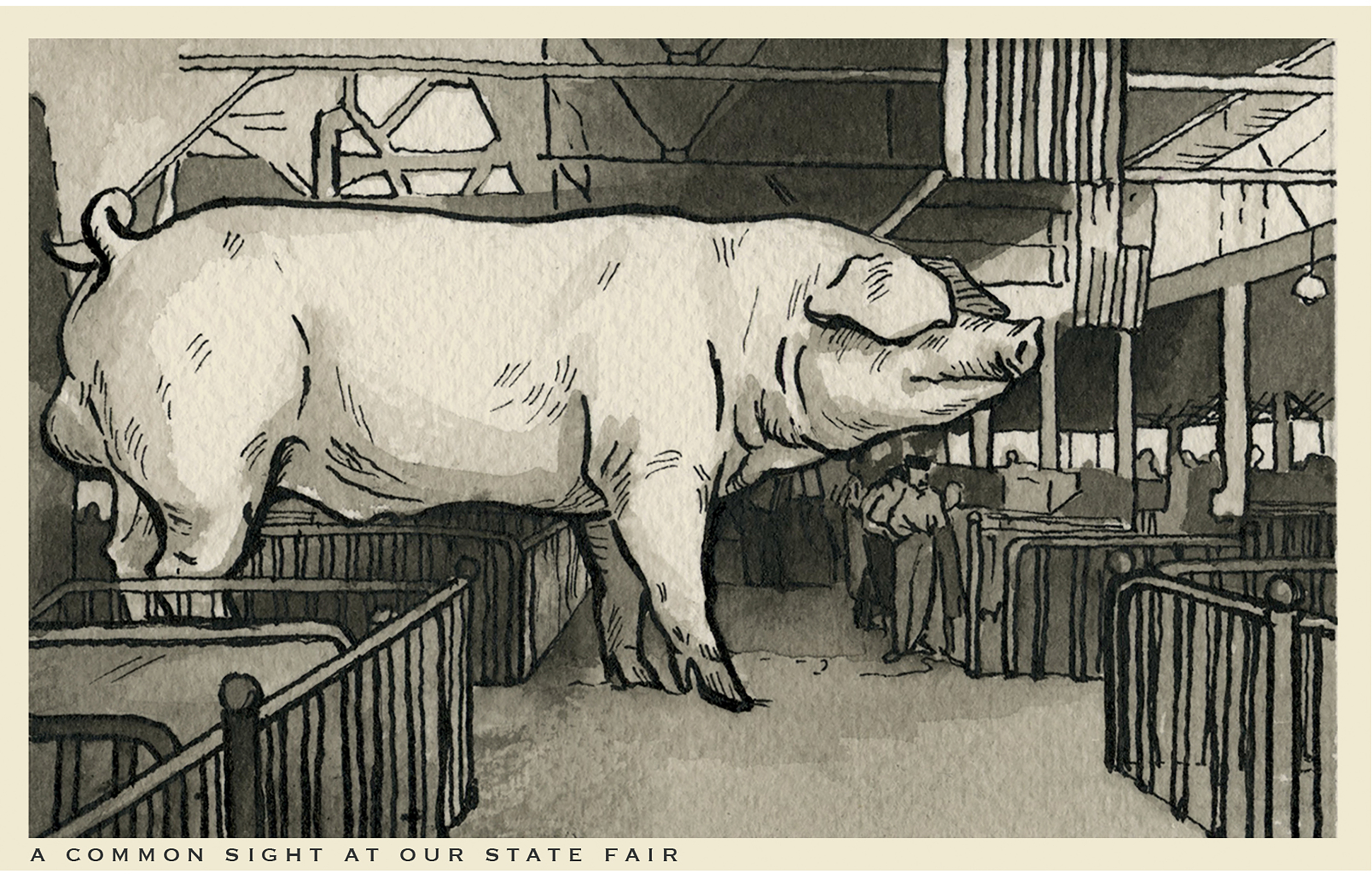 cartoon of pig at fair